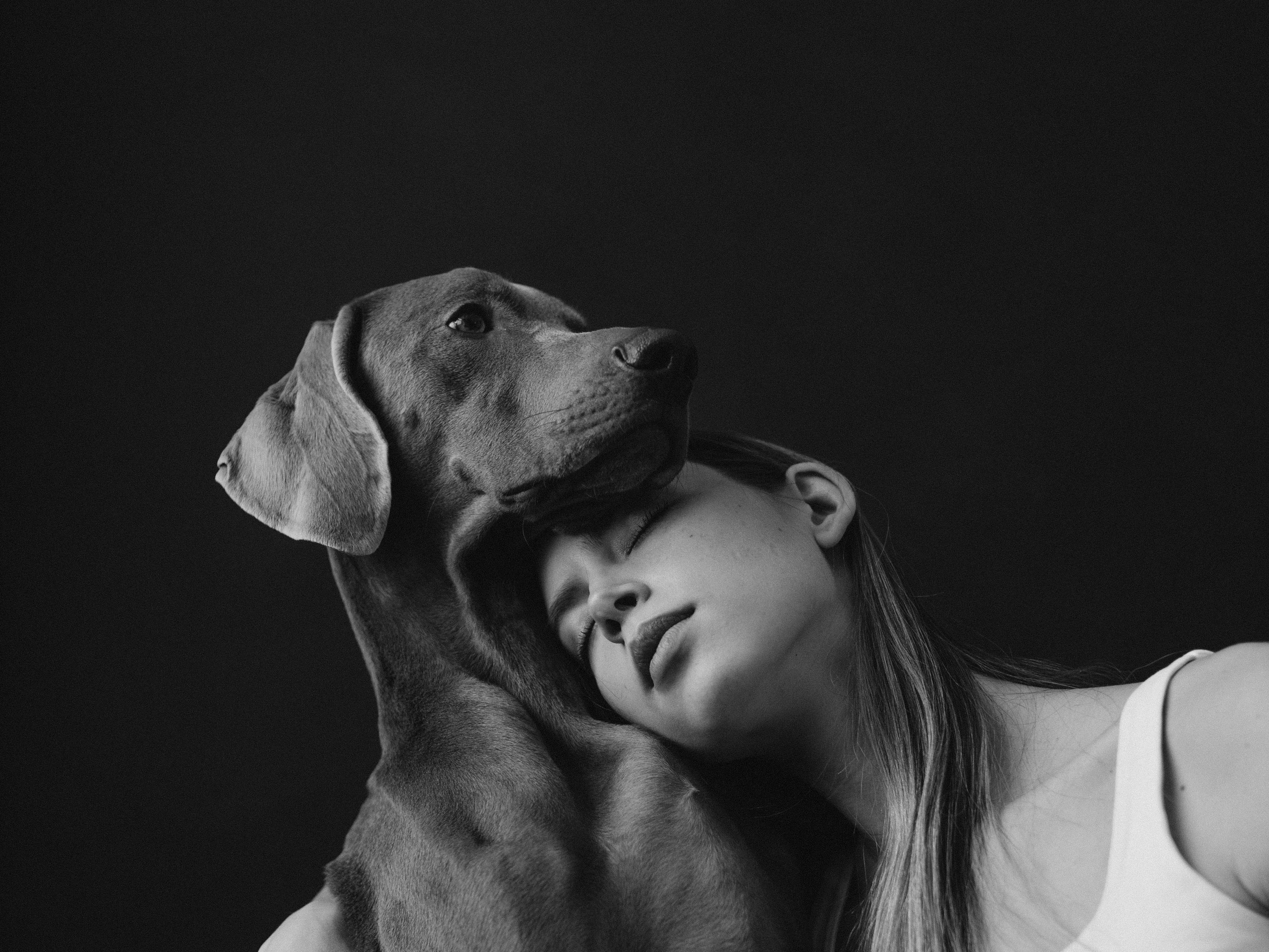 Сенча и Даша. Фотограф-анималист в Москве Кириллова Татьяна