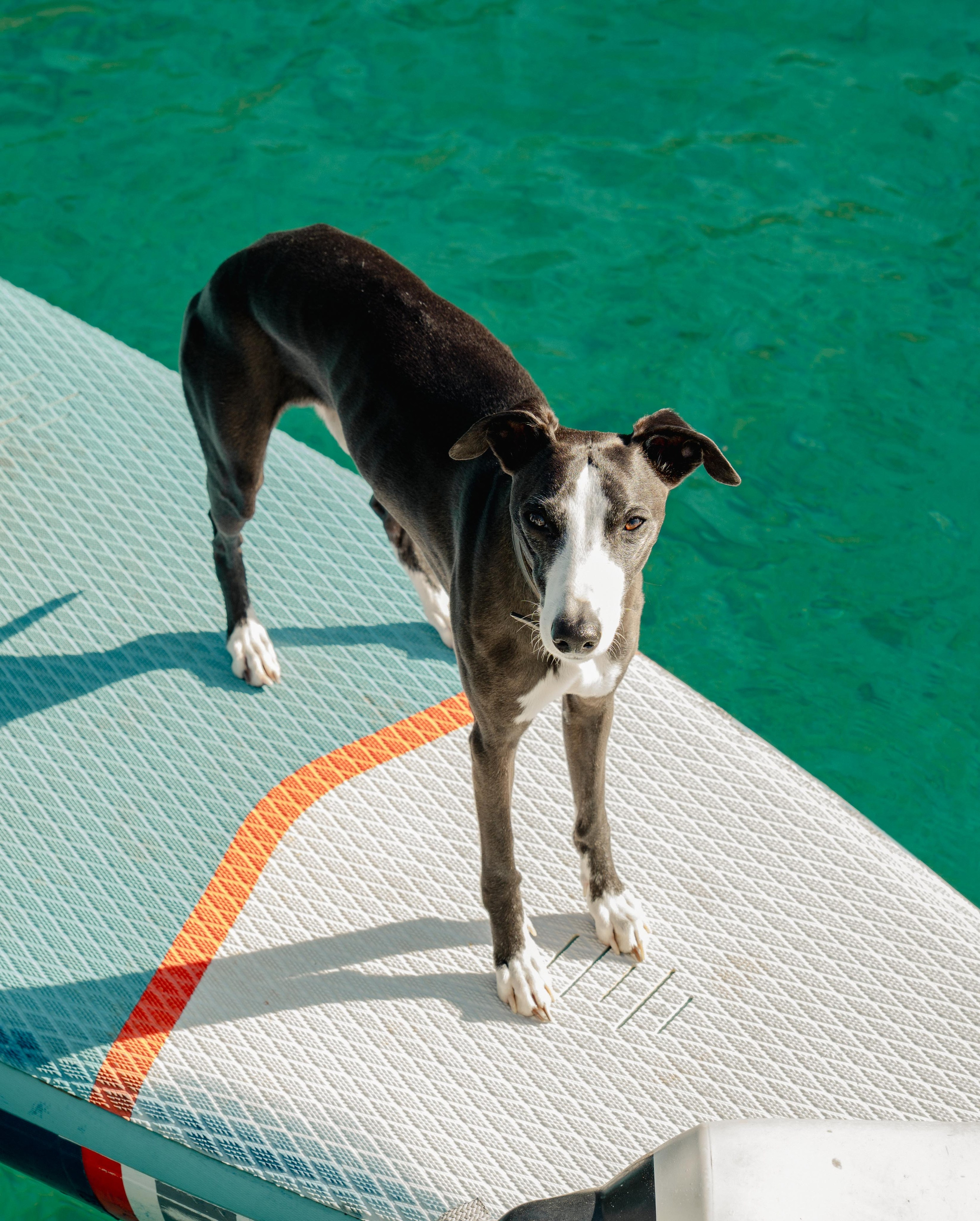 Турция 2026. Фотограф в Крыму Алевтина Швец