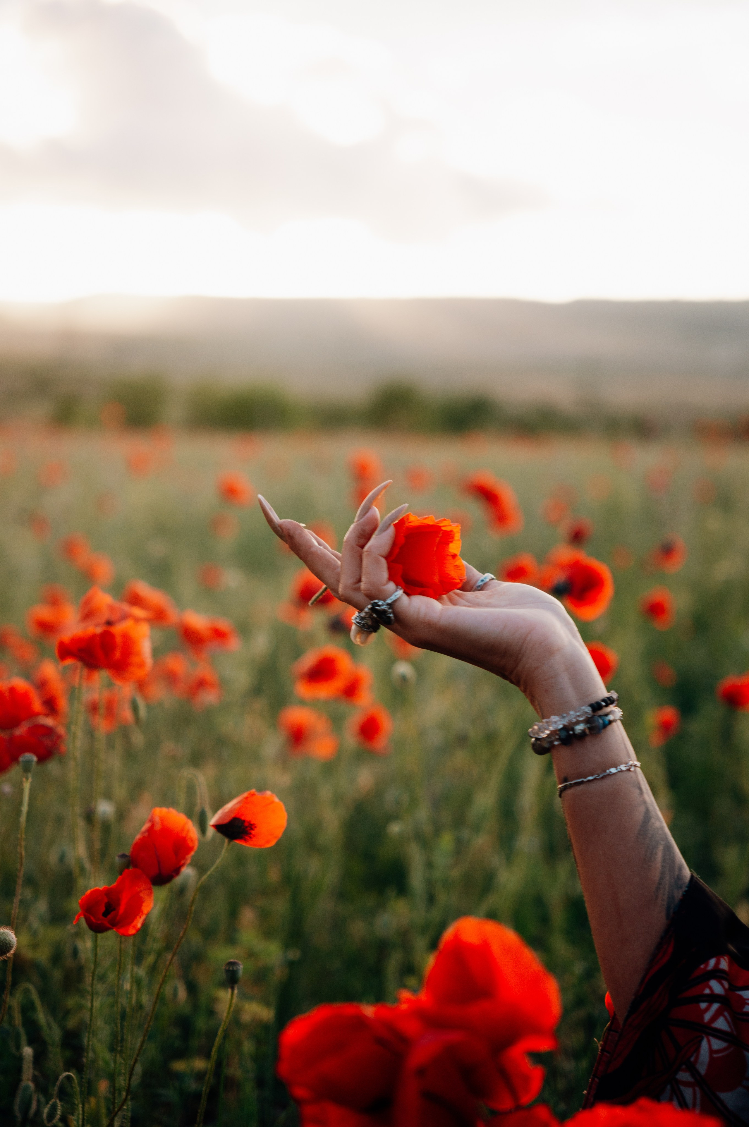 Тур за травами | маки. Обо мне