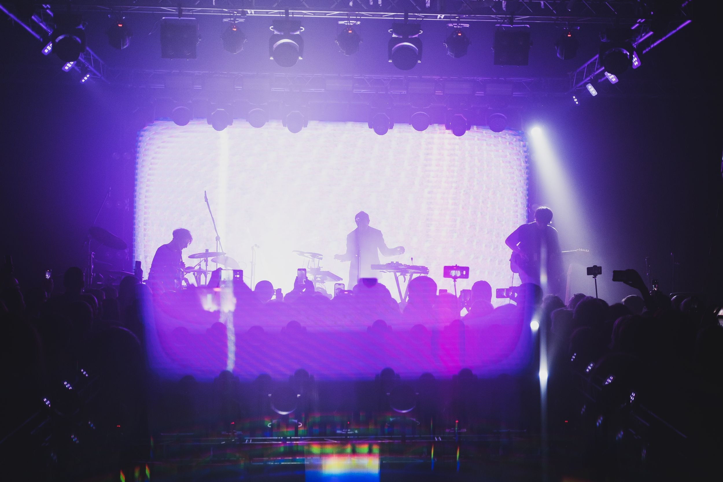 Дельфин. Репортажный фотограф Алексей Пирязев