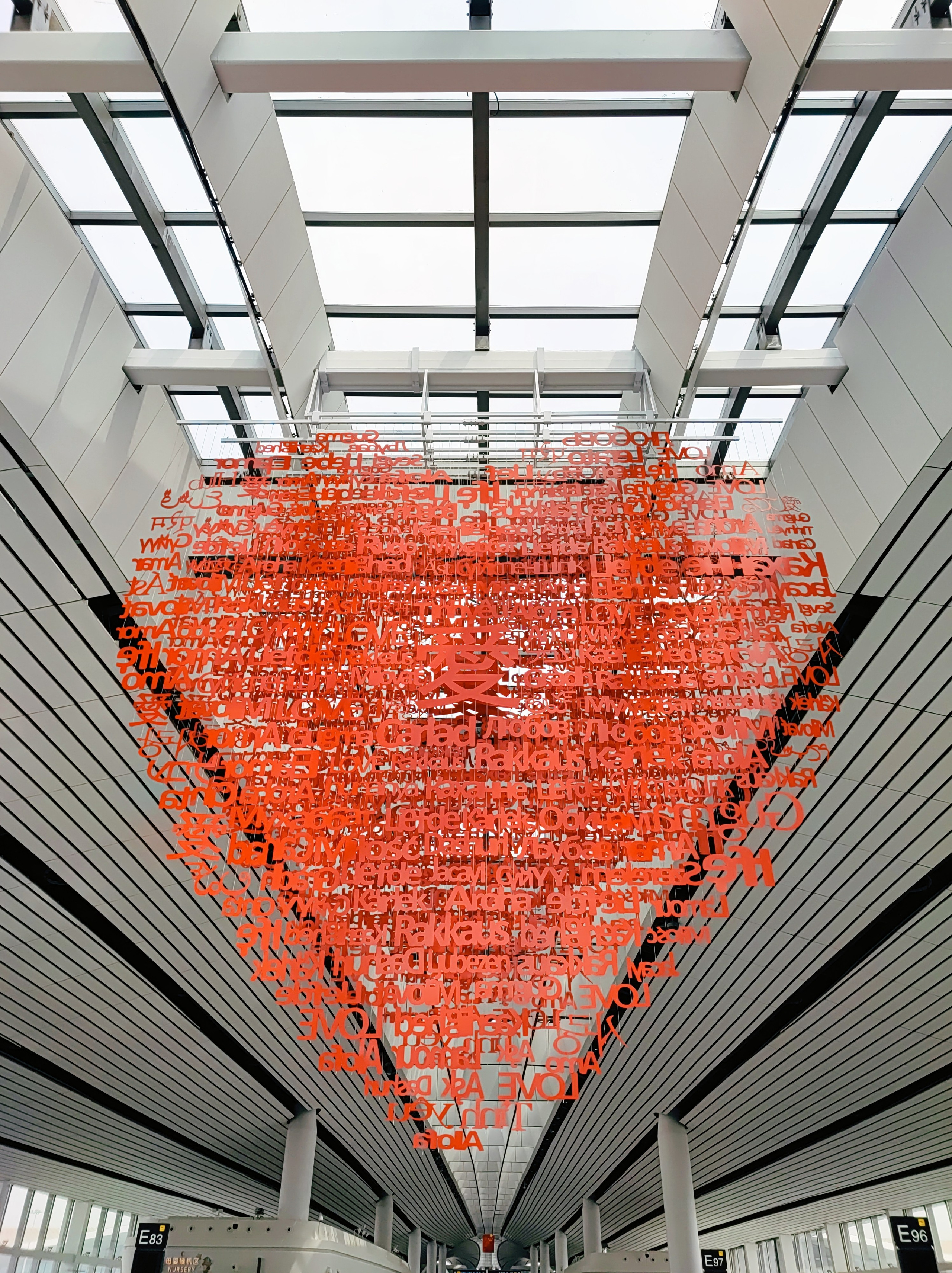 Намобилкус китайский. Репортажный фотограф Алексей Пирязев