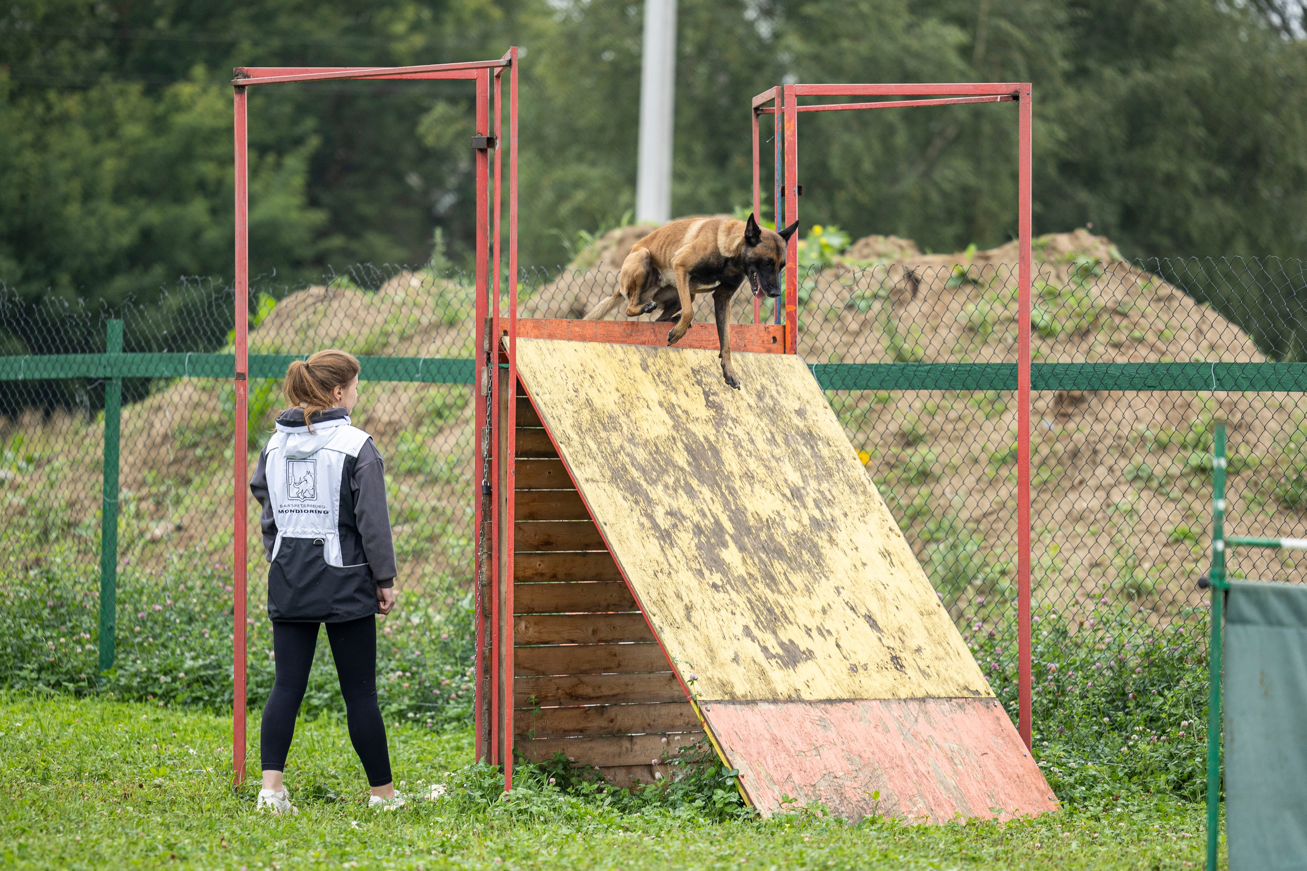 Соревнования по Мондьорингу г. Вологда 10-11.08.2024. Фотограф-анималист Анна Маринич