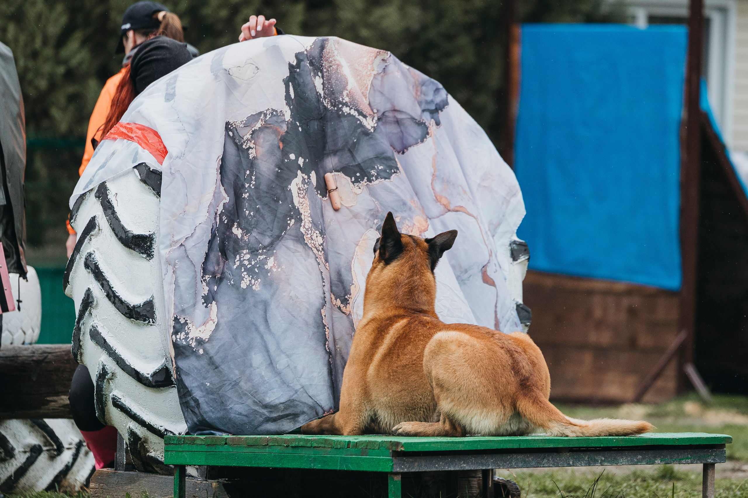 Геленджик Мондьоринг. Фотограф-анималист Анна Маринич