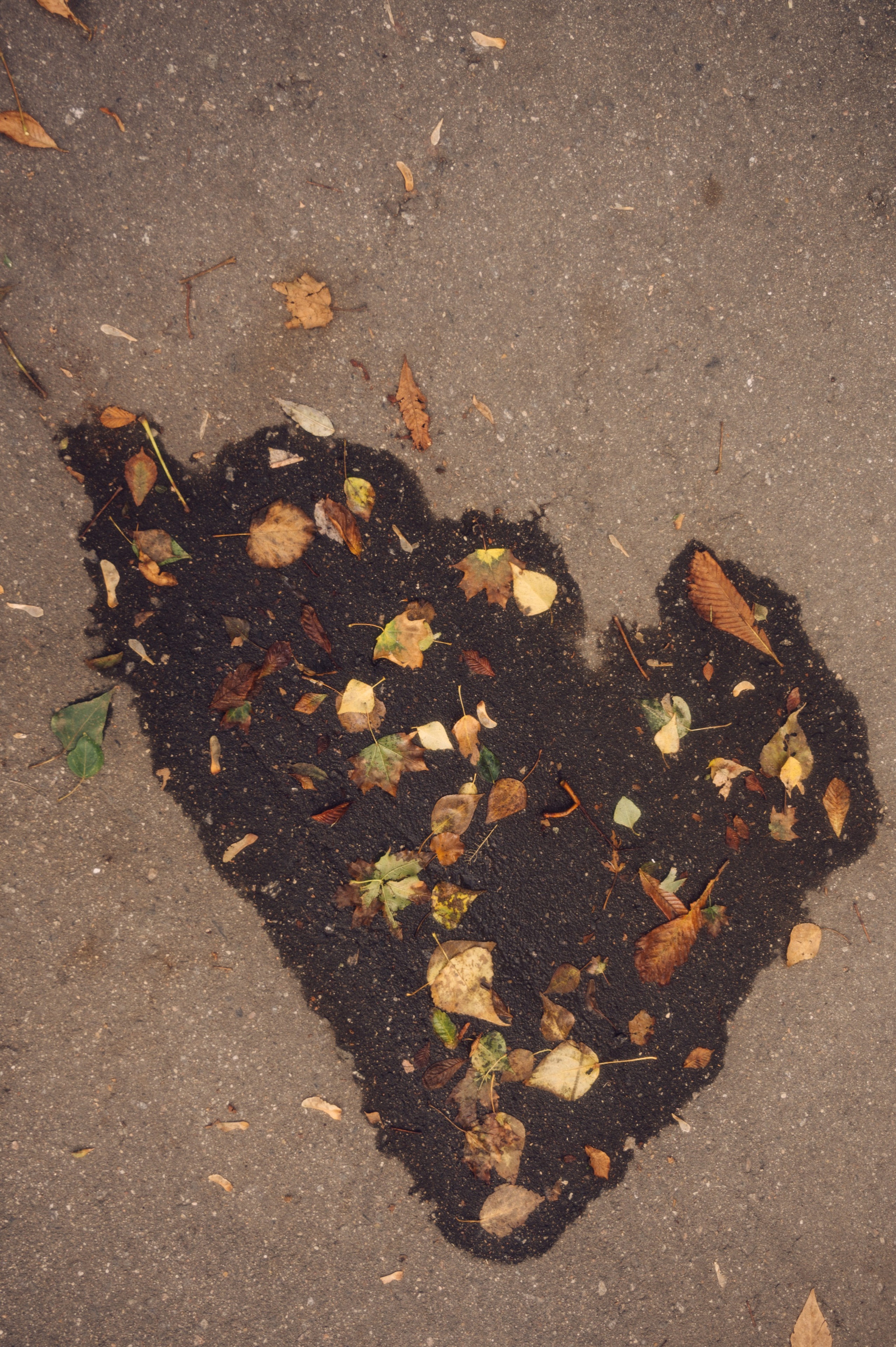 Аня и Юра. Одним осенним днём🍁. Лайфстайл фотограф в Москве Серебрянская Фаина