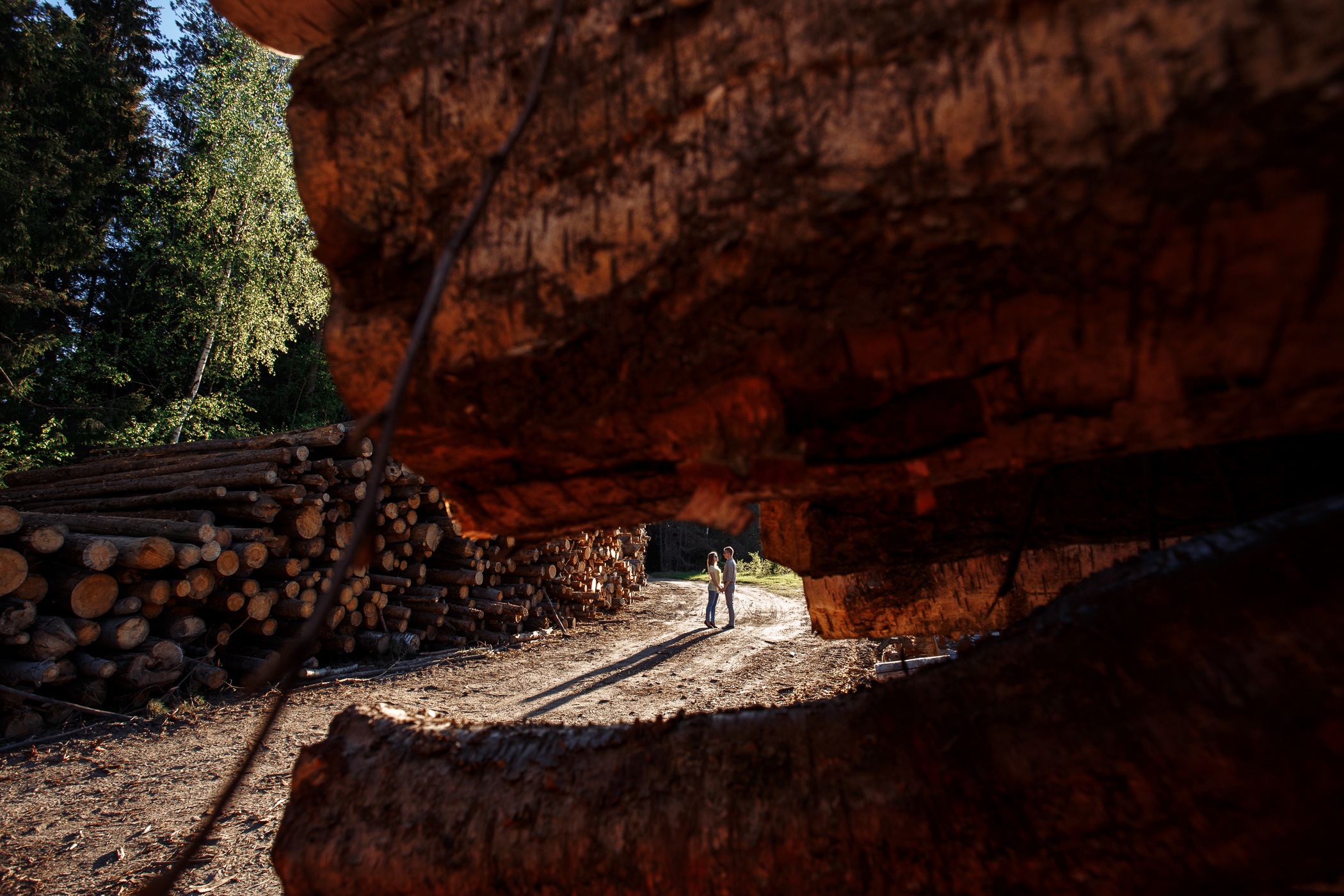 Фотосессия пары, лав стори, предсвадебная съемка. Свадебный и семейный фотограф в Твери, Москве, Санкт-Петербурге