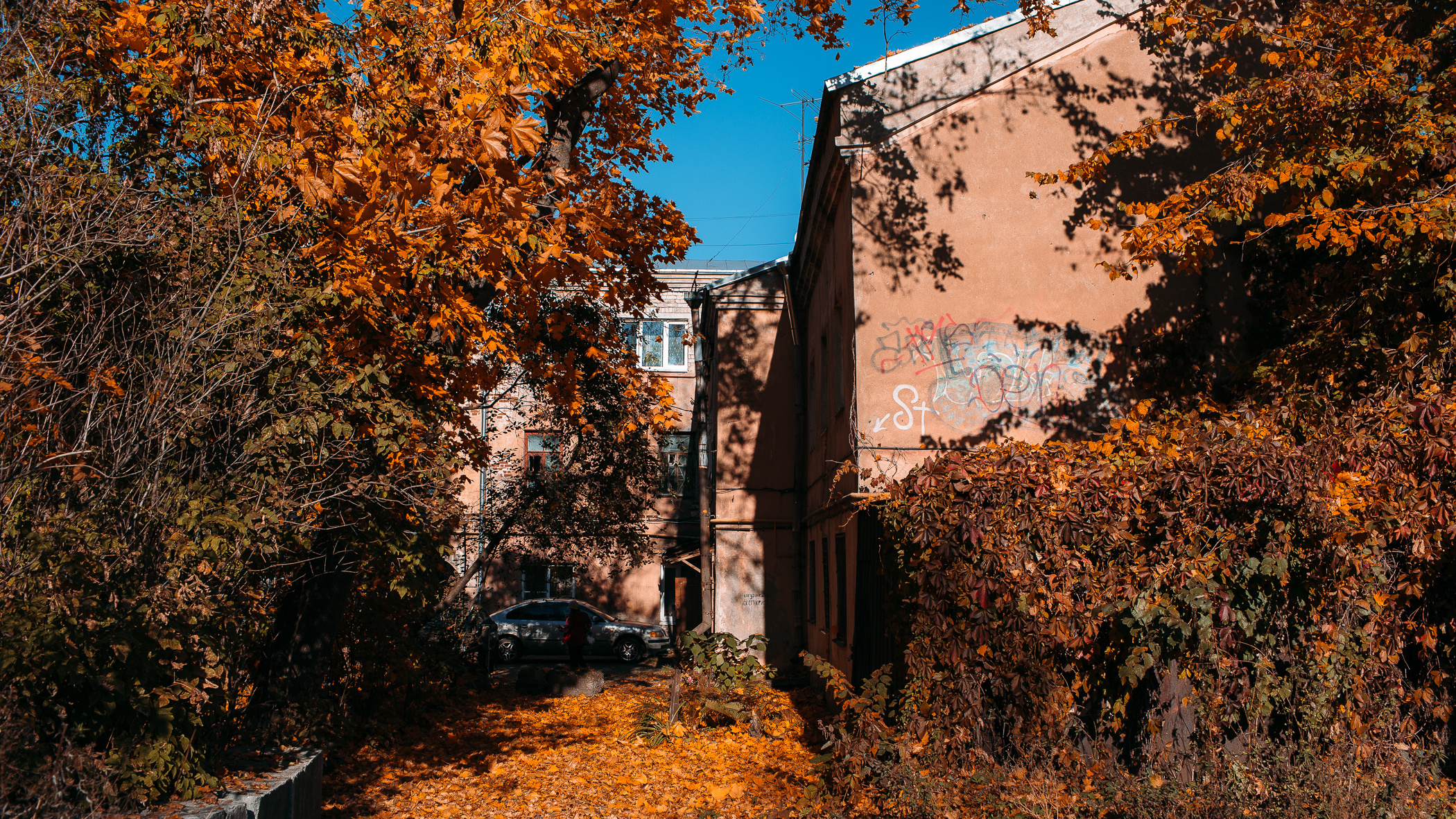 Фотосессия пары, лав стори, предсвадебная съемка. Свадебный и семейный фотограф в Твери, Москве, Санкт-Петербурге