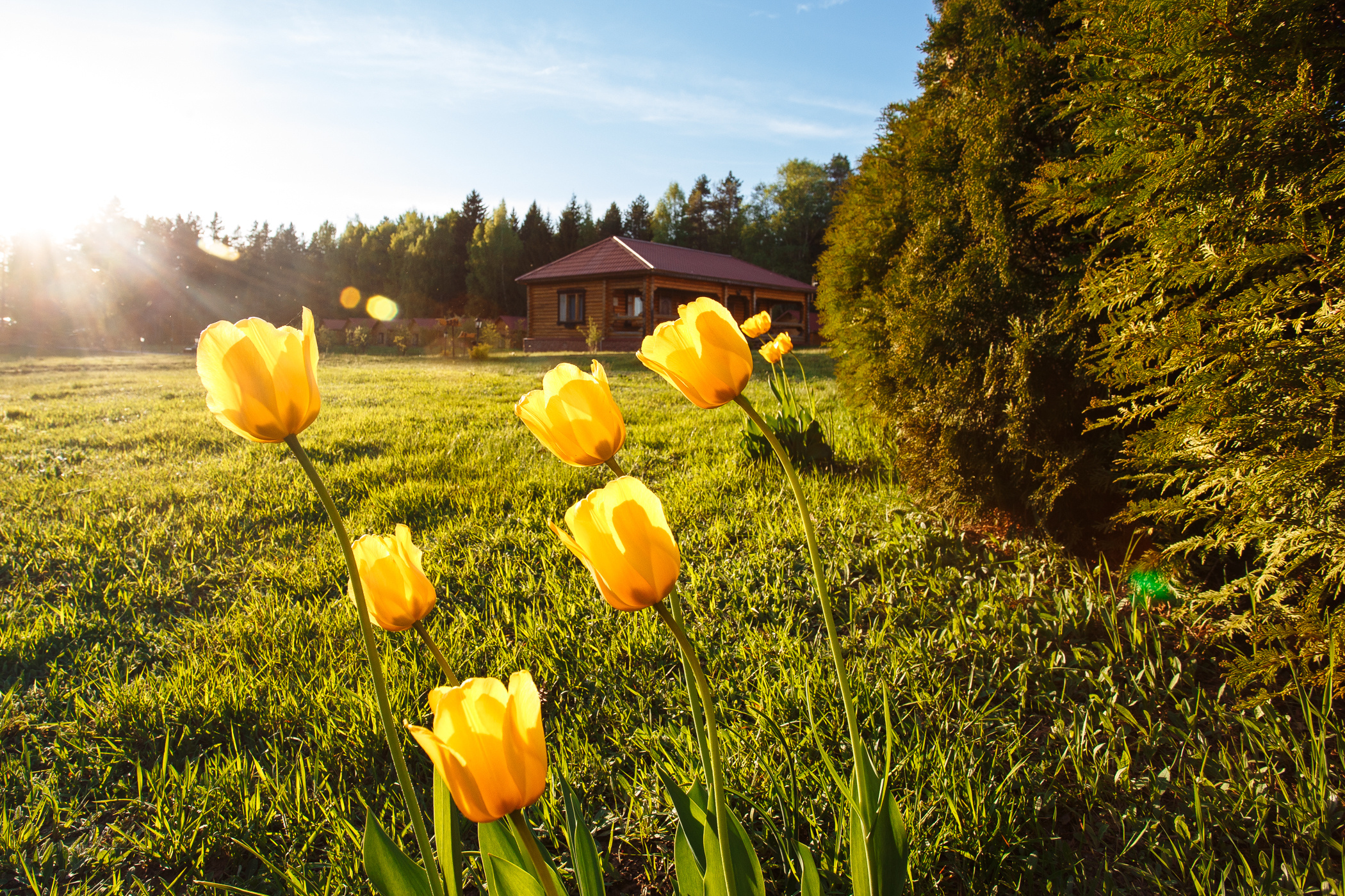 База отдыха «Дербовеж». Свадебный и семейный фотограф в Твери, Москве, Санкт-Петербурге