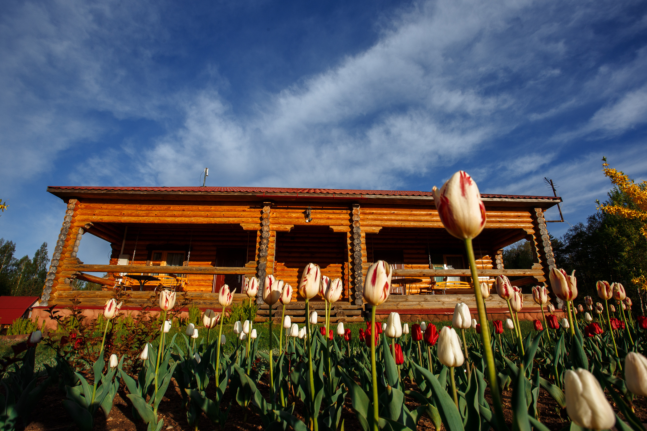 База отдыха «Дербовеж». Свадебный и семейный фотограф в Твери, Москве, Санкт-Петербурге