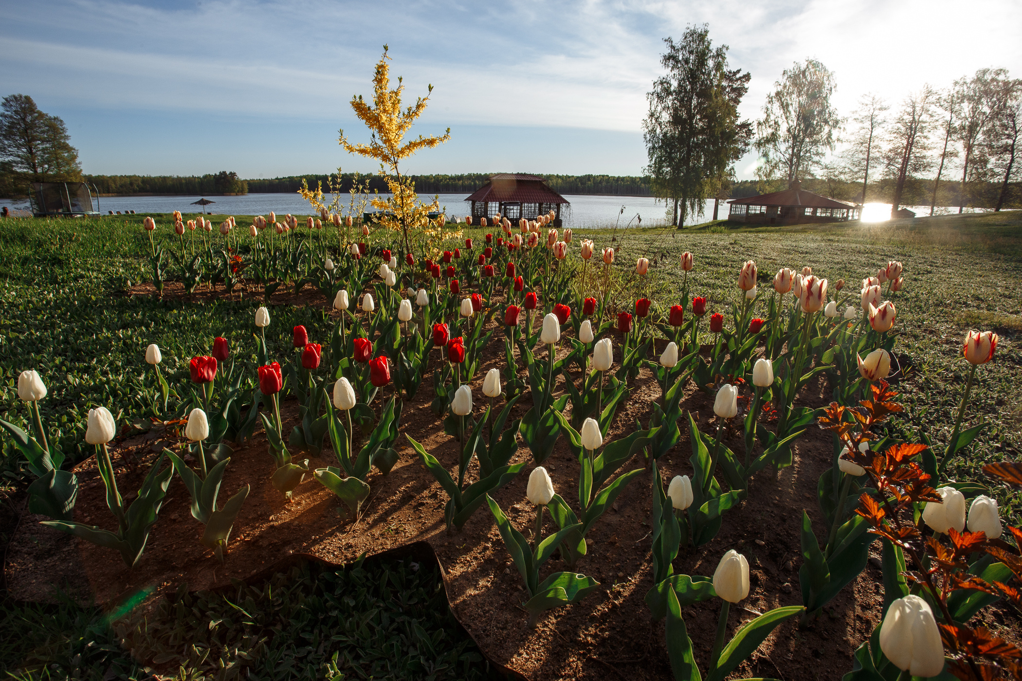 База отдыха «Дербовеж». Свадебный и семейный фотограф в Твери, Москве, Санкт-Петербурге