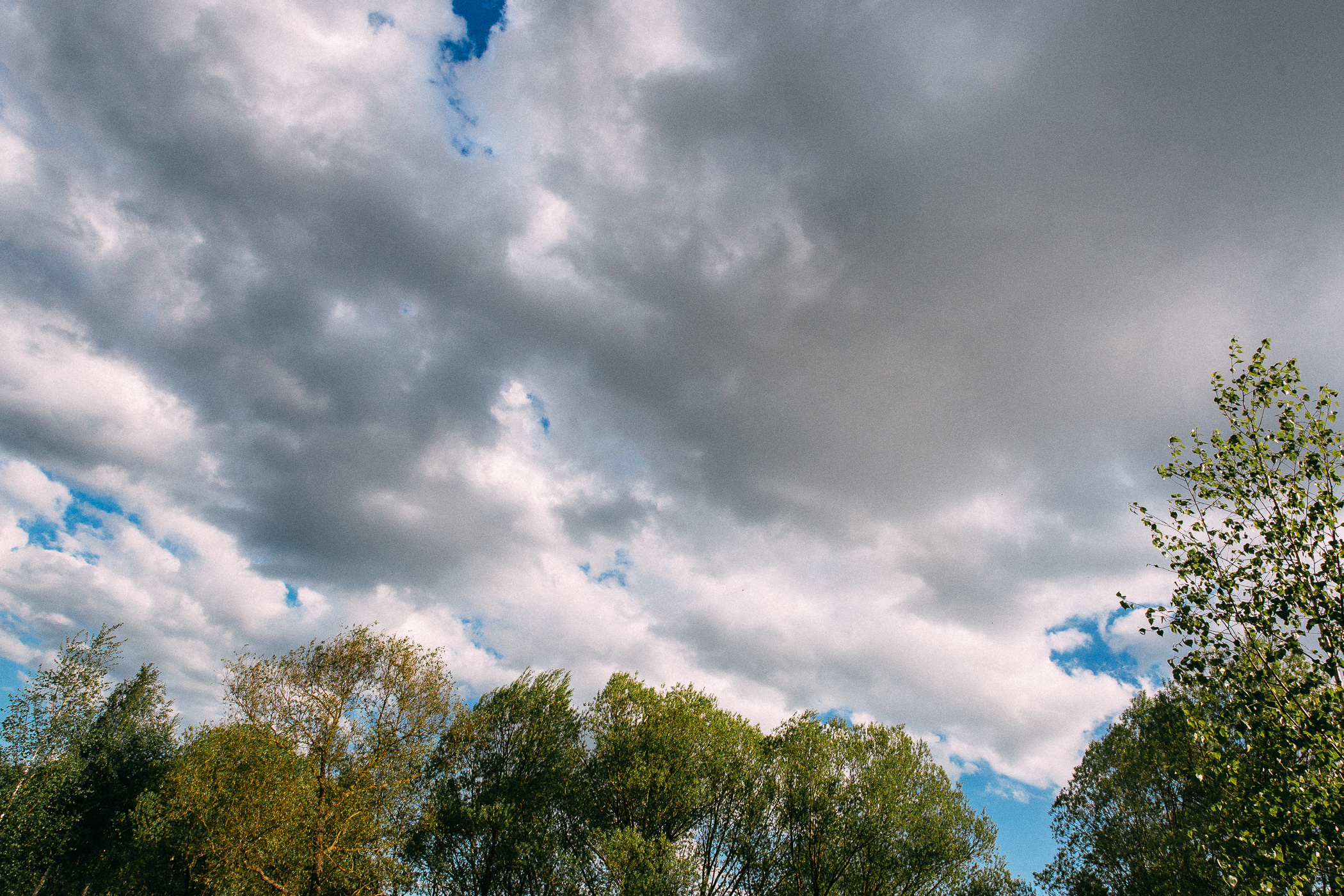 Фотосессия пары, лав стори, предсвадебная съемка. Свадебный и семейный фотограф в Твери, Москве, Санкт-Петербурге