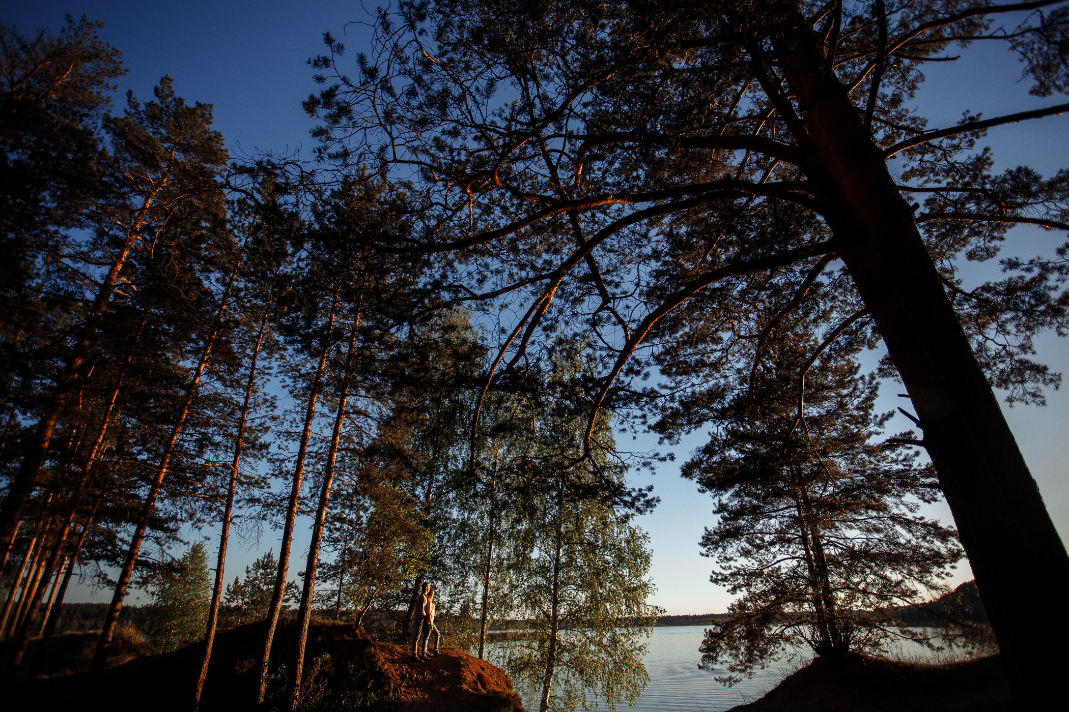 Фотосессия пары, лав стори, предсвадебная съемка. Свадебный и семейный фотограф в Твери, Москве, Санкт-Петербурге