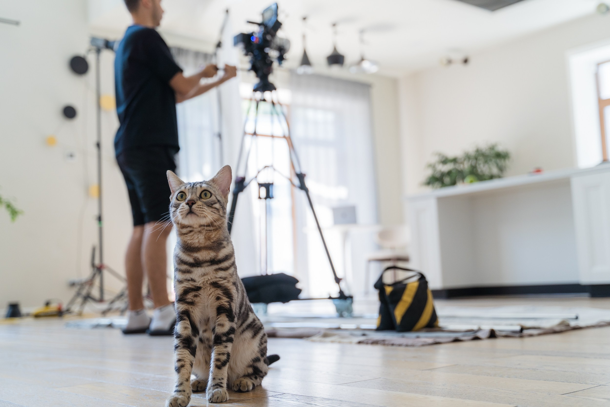 Репортаж. Алексей Евдокимов — Фотограф во Владивостоке