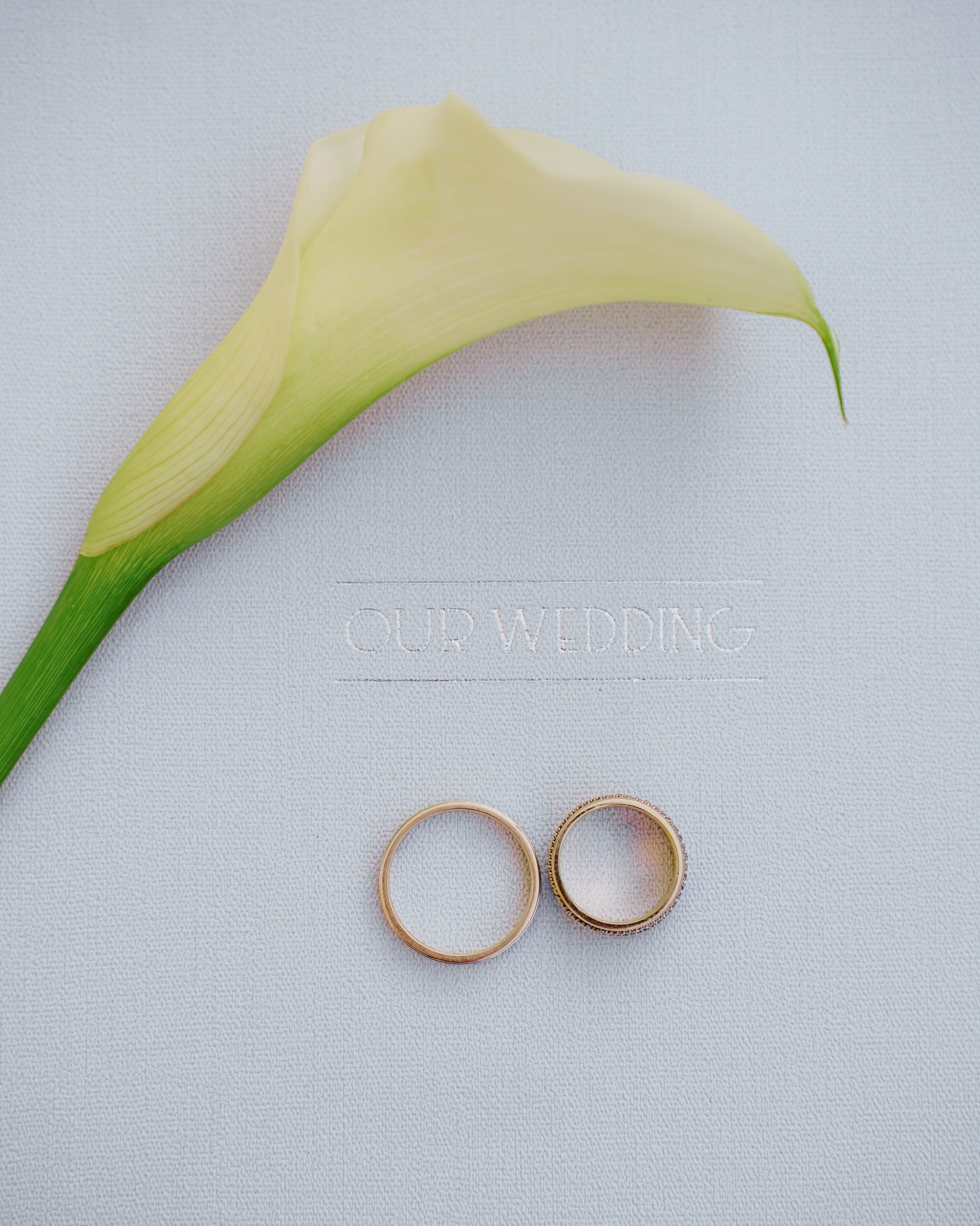 İrandek. Fotoğrafçı. İzmir