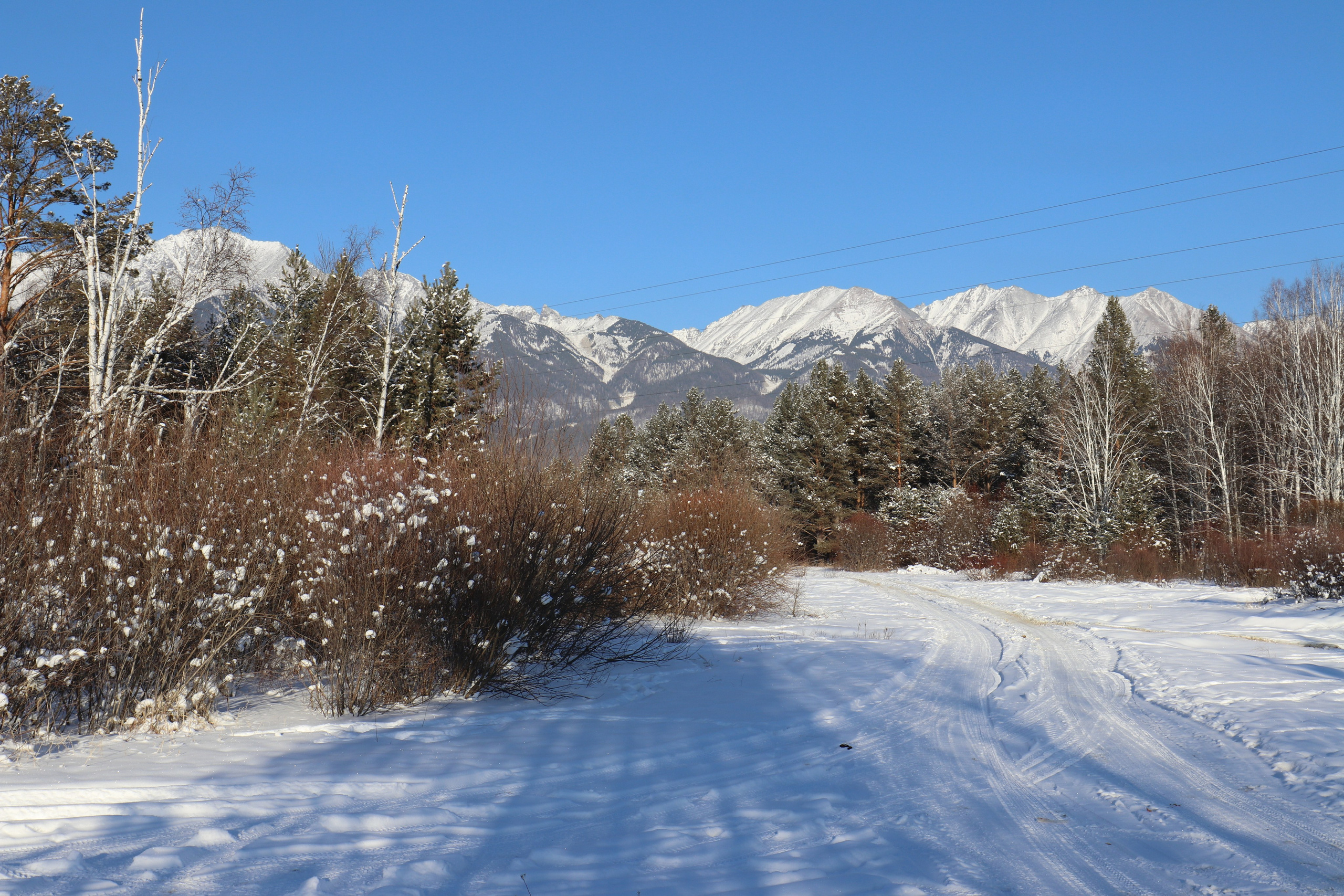 Аршан. Январь 2022. Путешественник-фотограф из Санкт-Петербурга Татьяна Свистулина