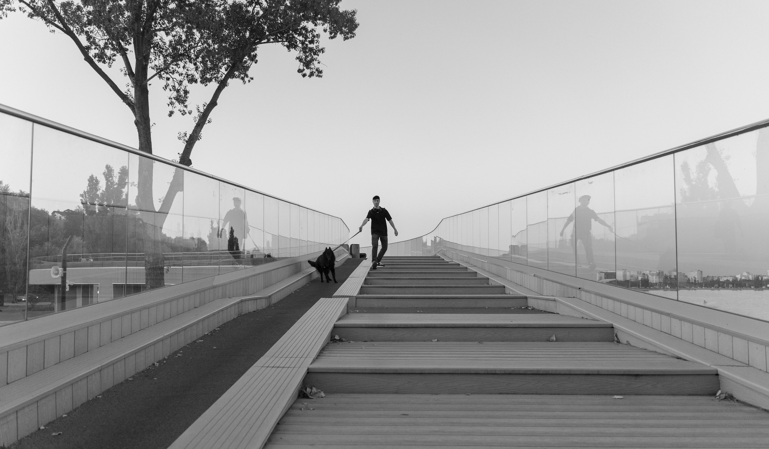 Саша и Нотр. Портретный и семейный фотограф Санкт-Петербург