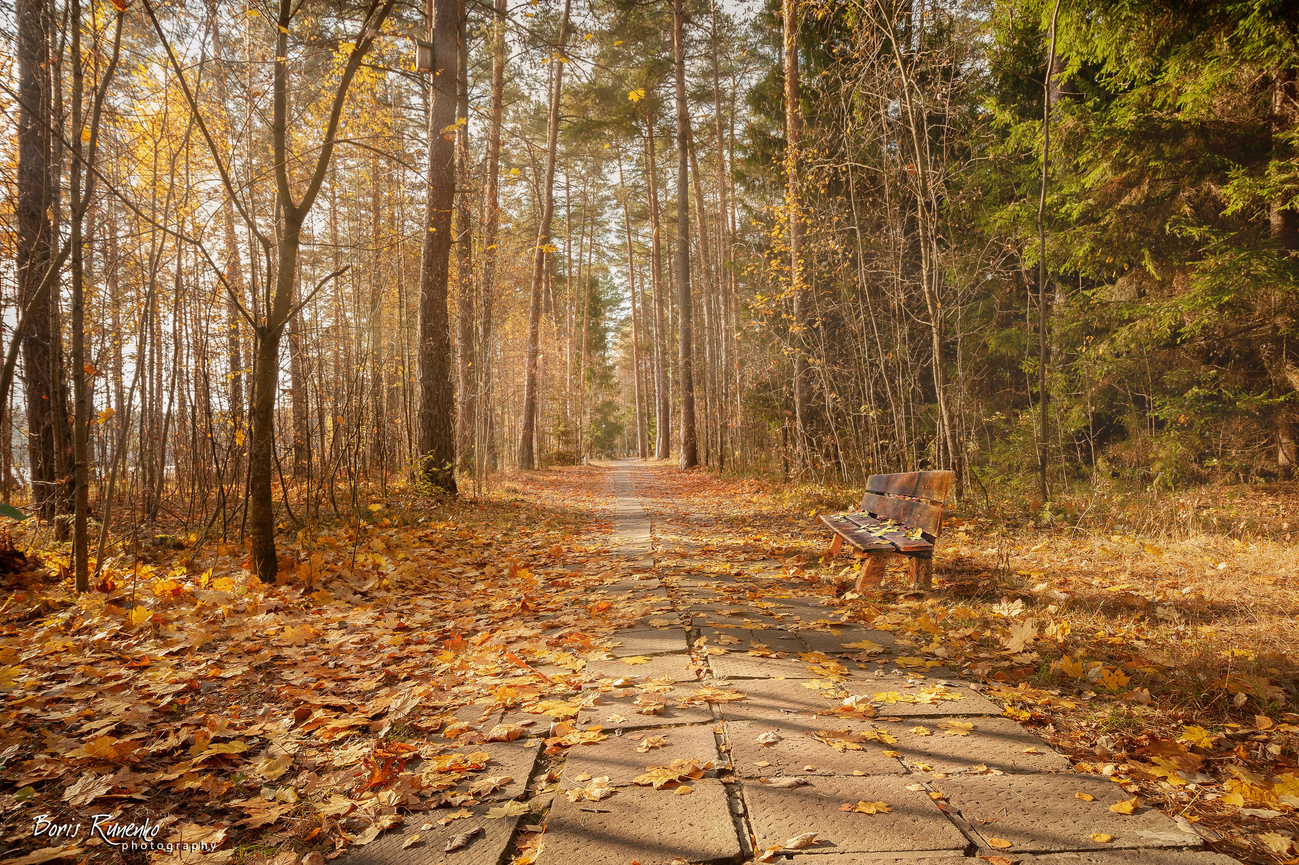 Пейзажный альбом 1. Борис Руненко. Пейзажный и travel-фотограф