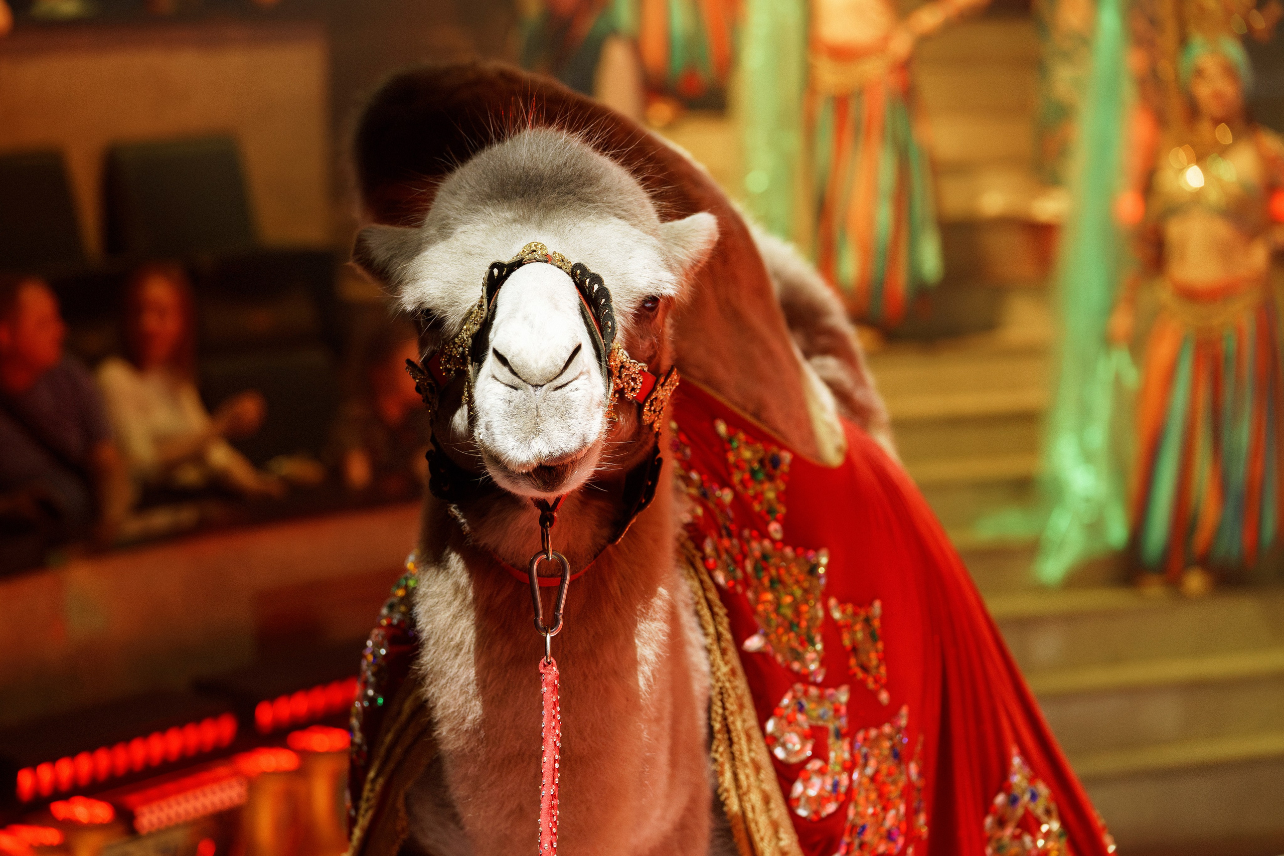 Новое шоу Гии Эрадзе «ПЕСЧАНАЯ СКАЗКА». Фотомастерская Воробьевых