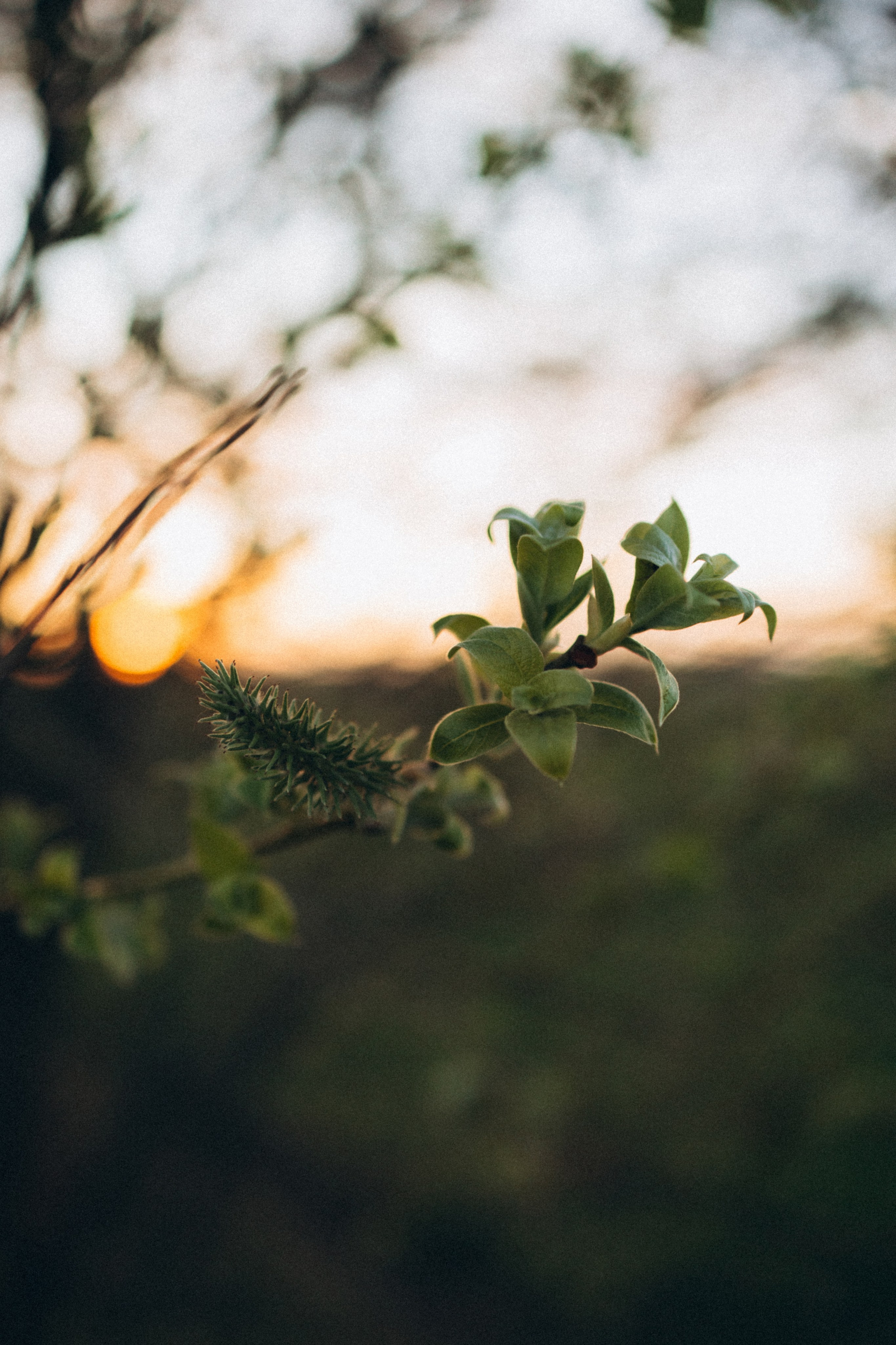 София и Диана (весна). Фотограф Елена Рябцева