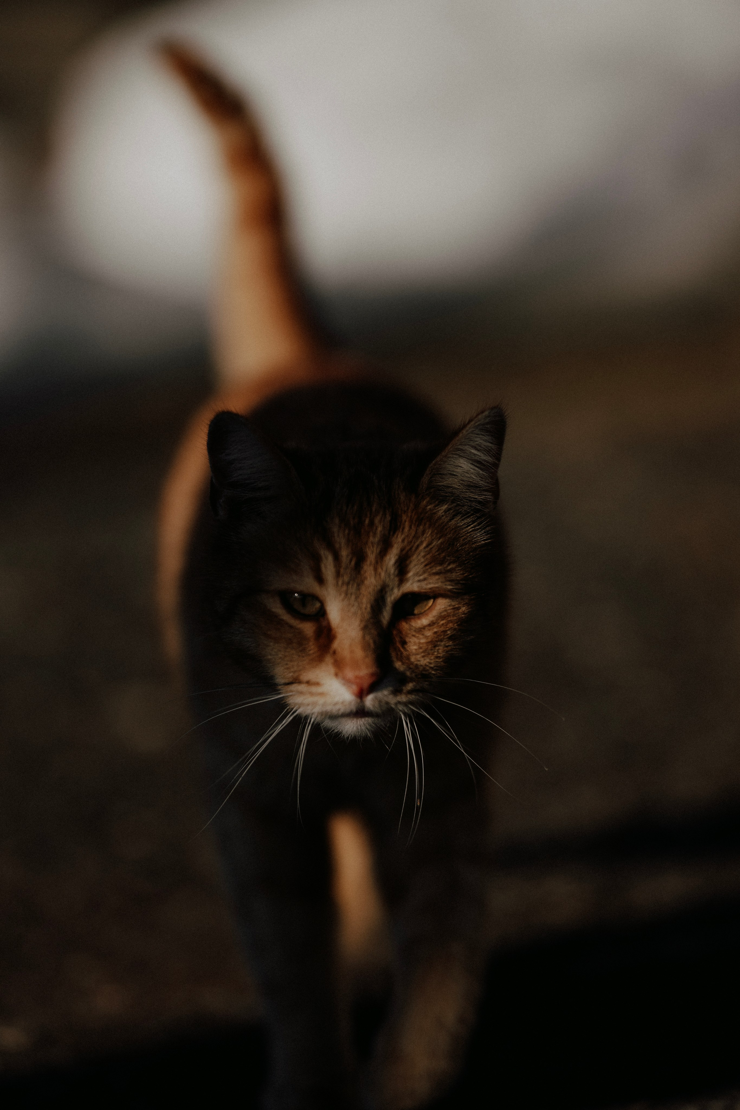 Street photo. Фотограф в Казани, и Зеленодольске Радик Мухаметов
