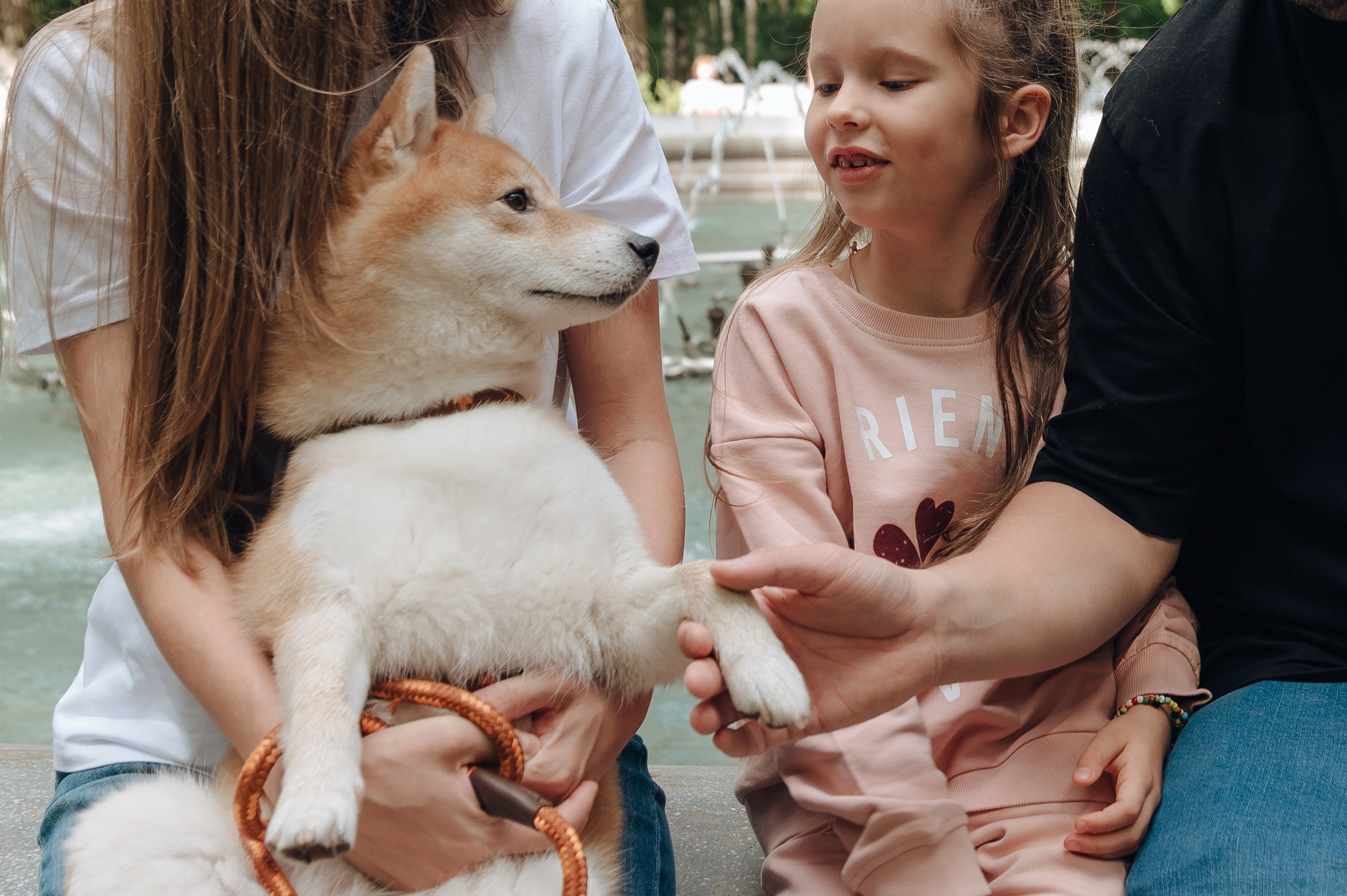 Трое в парке и меховой шар. Детский и семейный фотограф Катерина Мишина