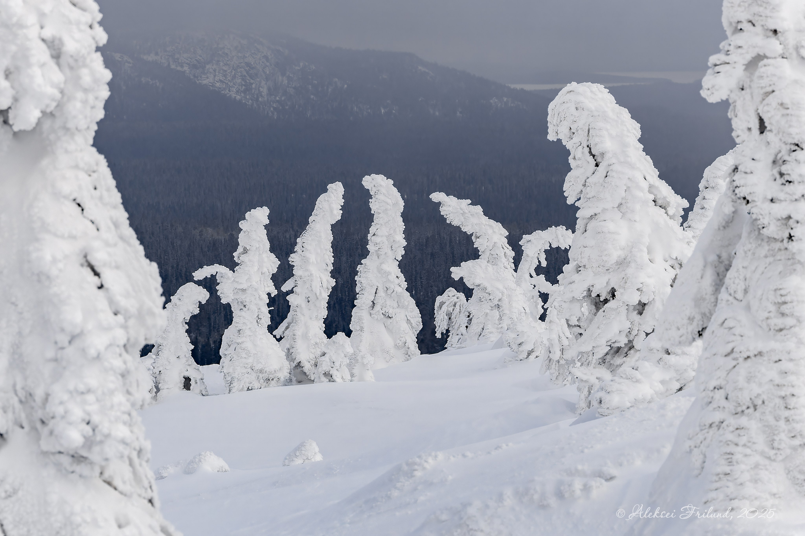 Национальный парк «Паанаярви». Аэросъемка. Фото и Видео в Карелии. Алексей Фрилунд