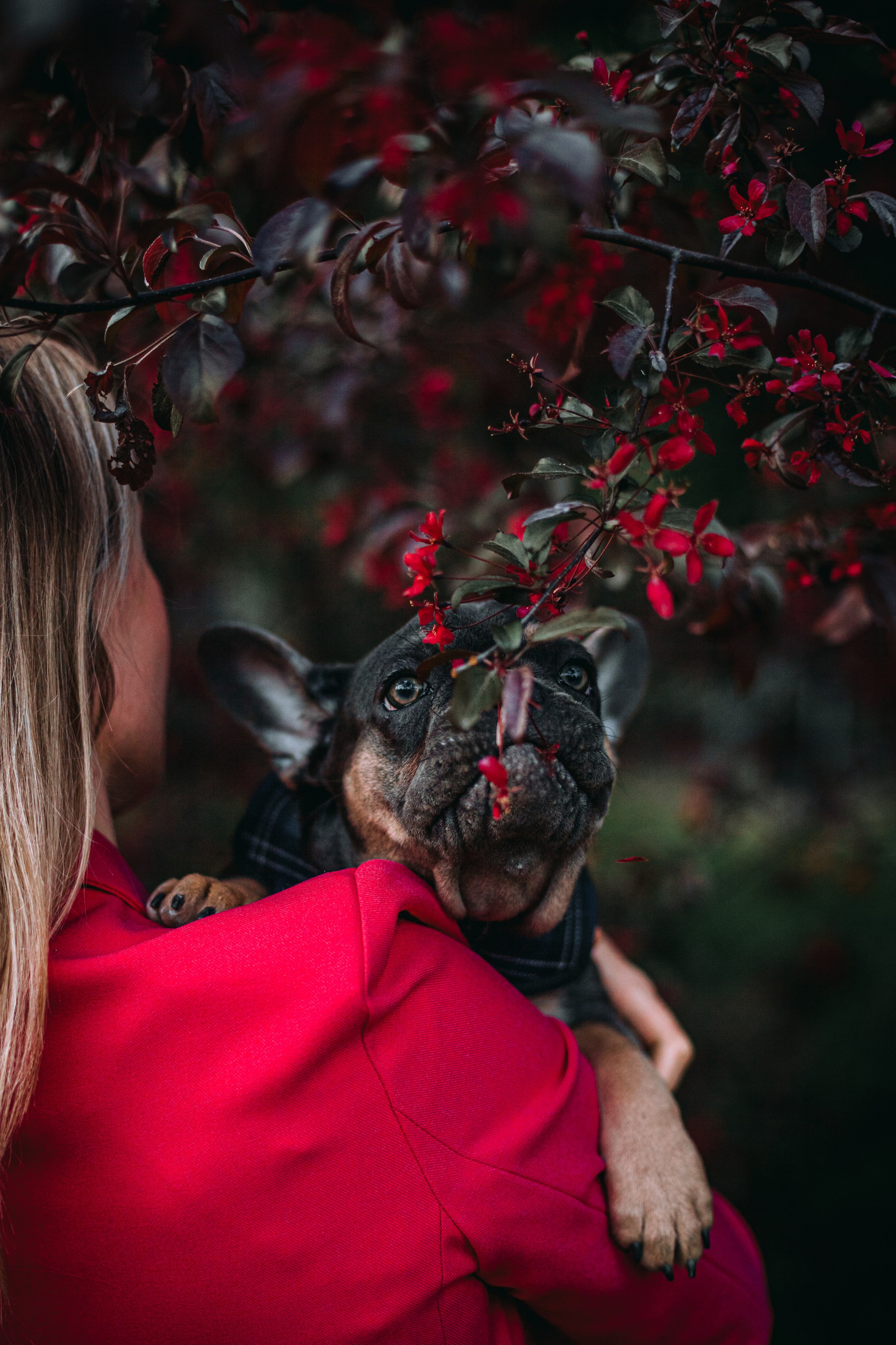 Даша и Мишель. Фотограф-анималист Татьяна Степанова