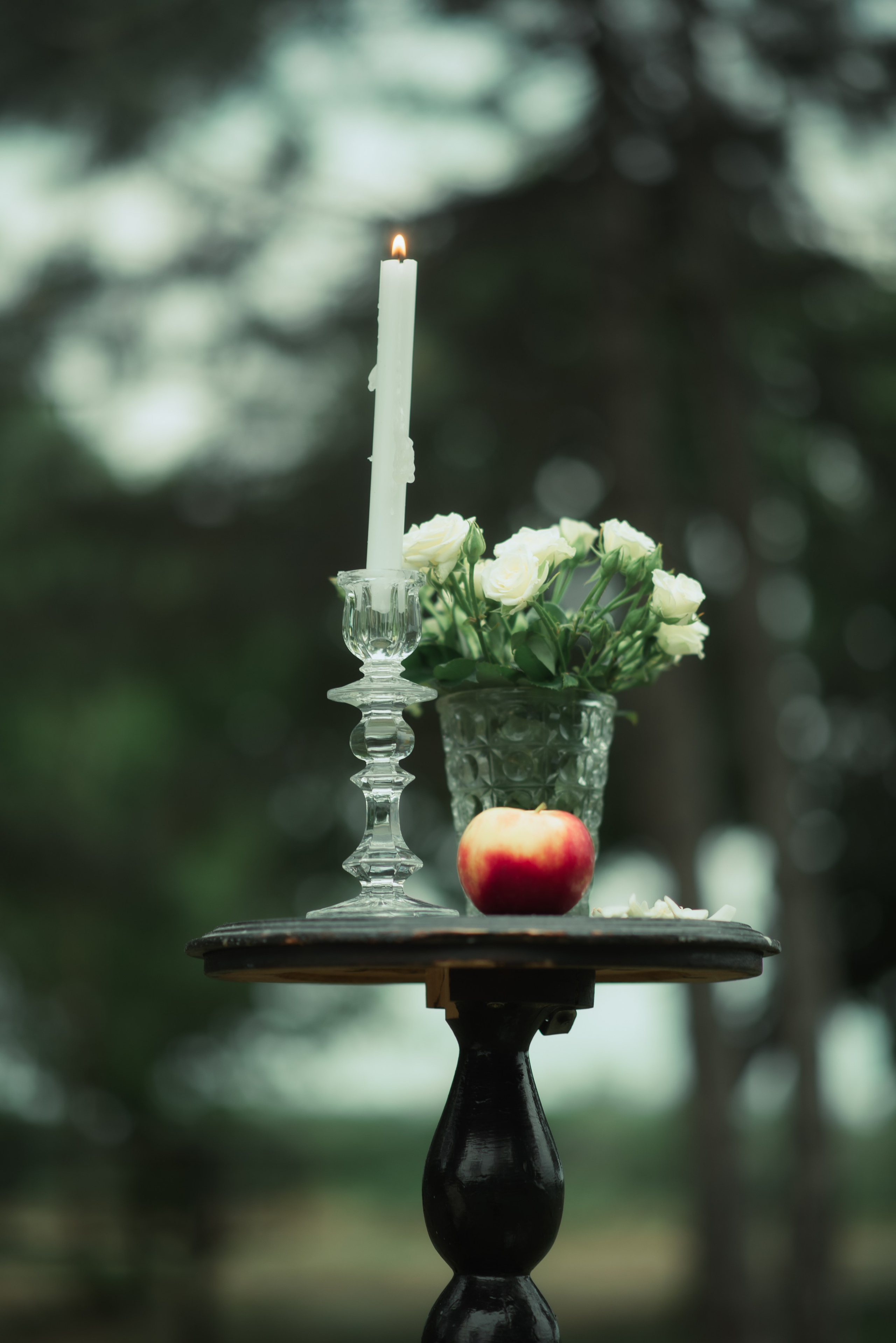 Сказочная аристократия. Главная