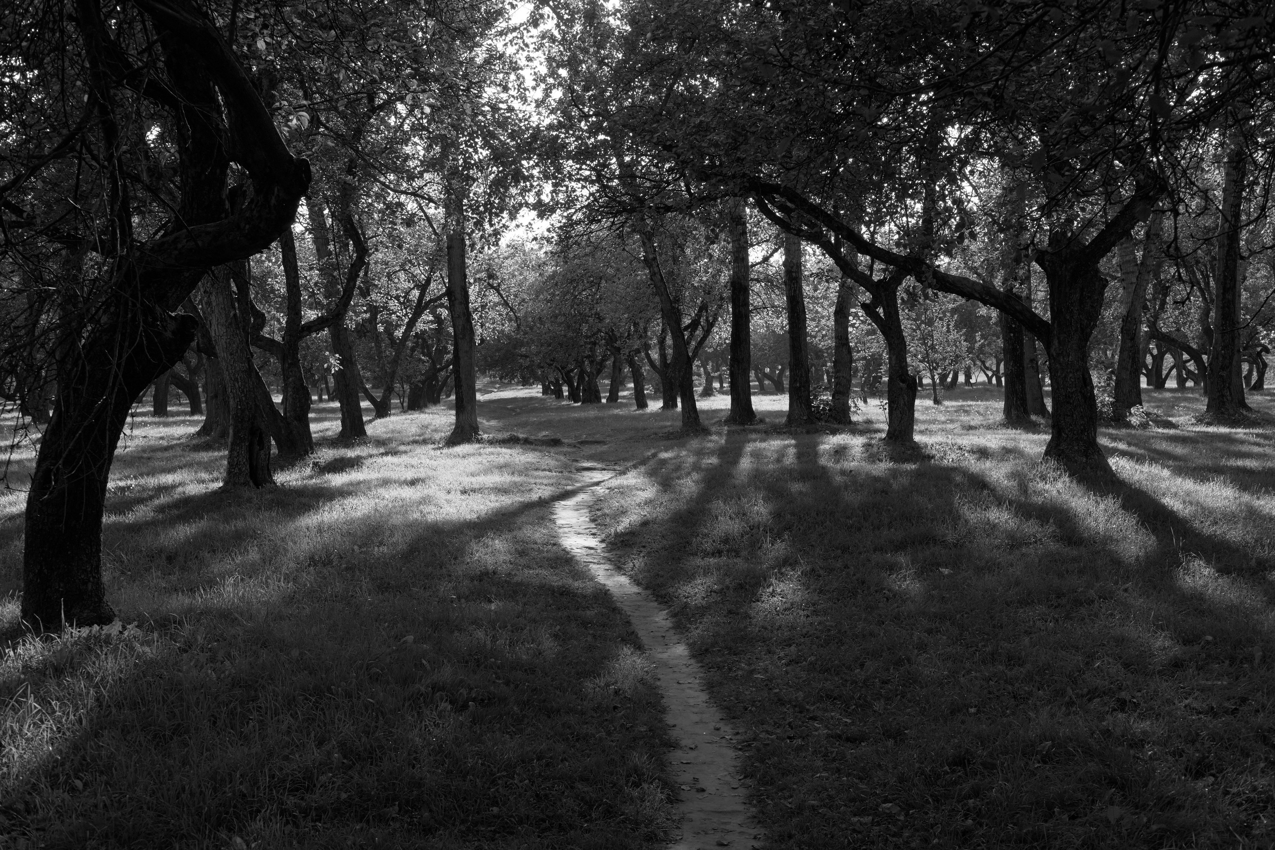 Александра. Арт фотограф в Москве Артём Петеорка