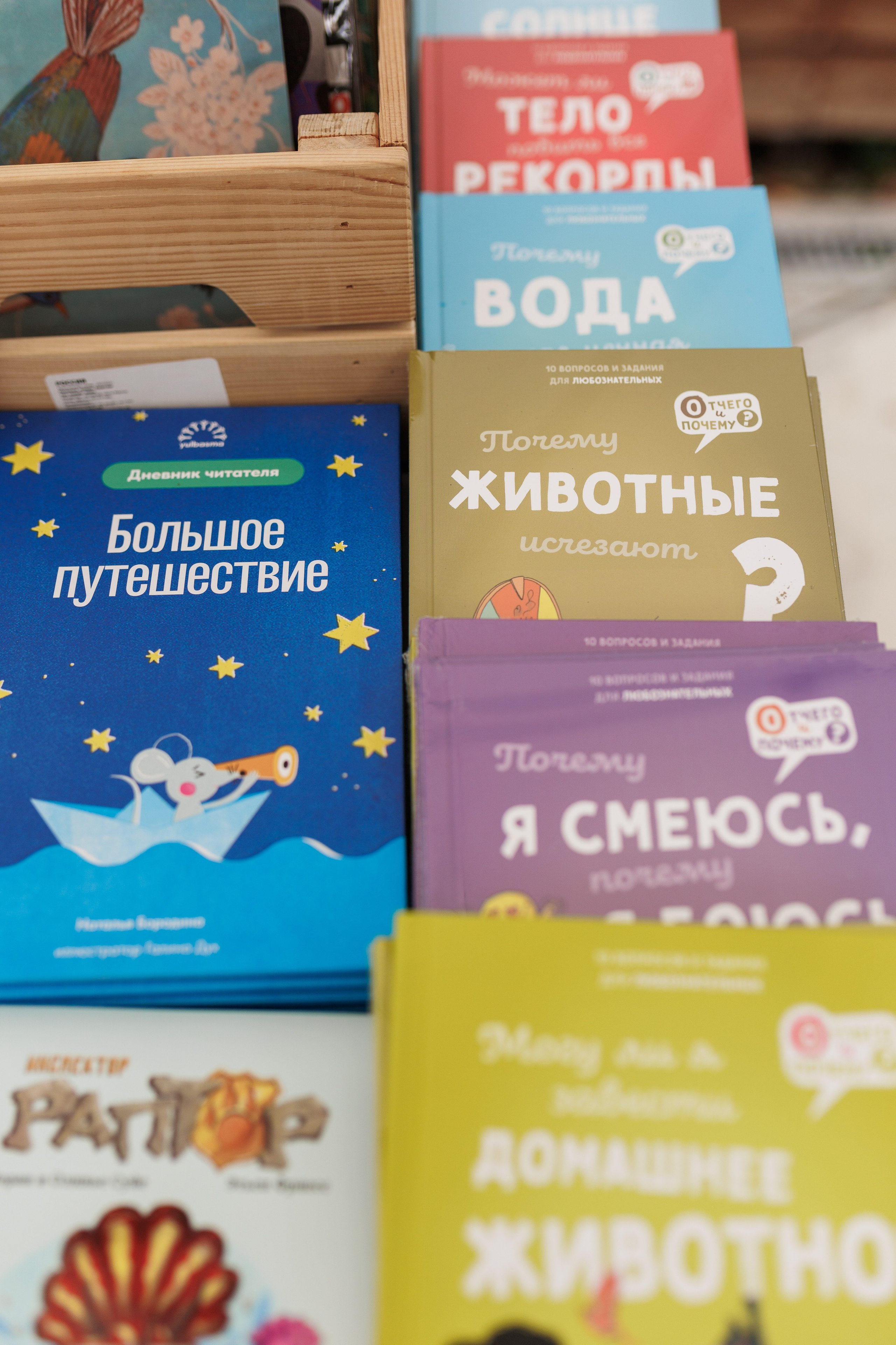 Книжный фестиваль «Смены» в Выксе 2025. Фотограф городских и семейных событий Артем Карпухин