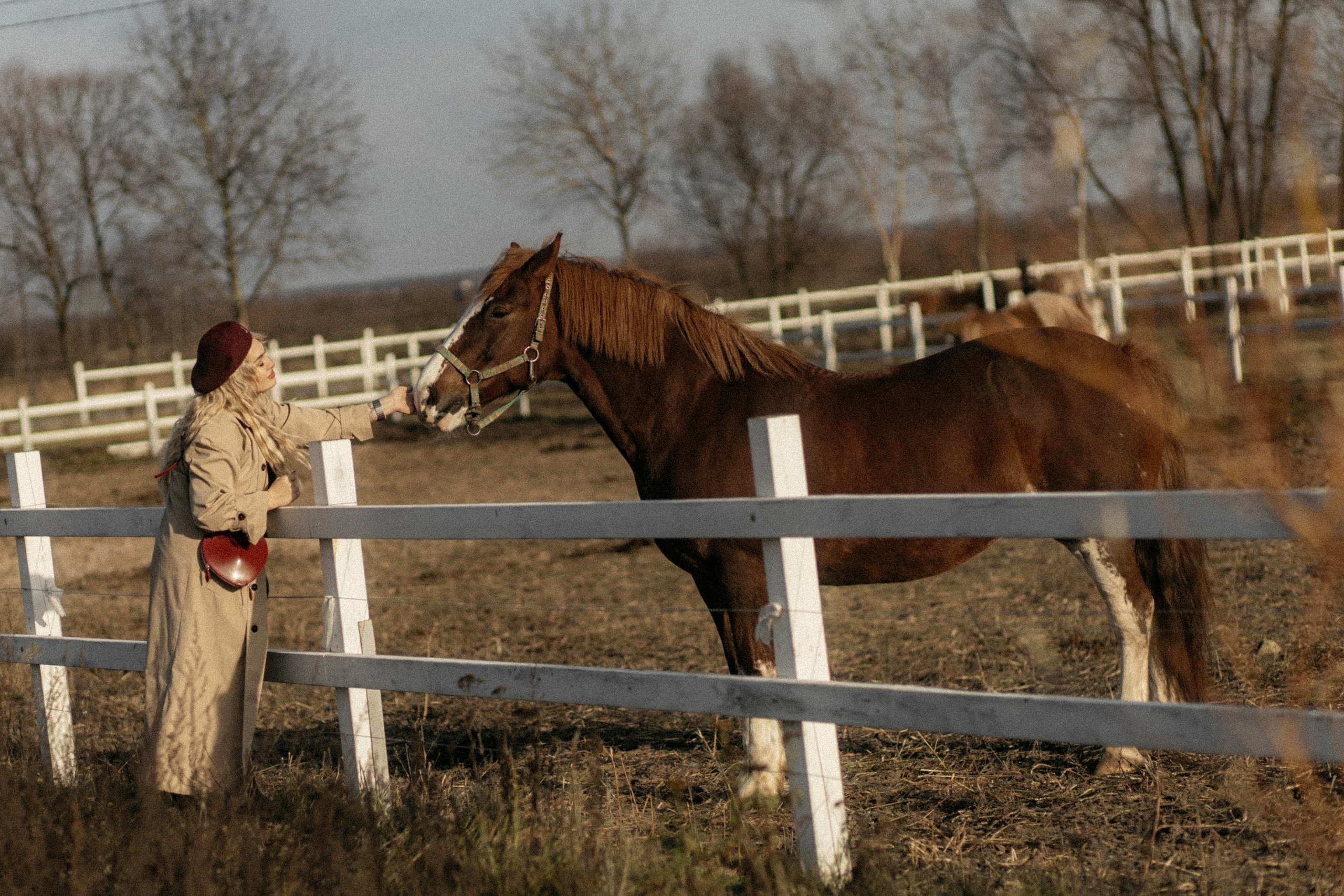 Прогулка с Еленой. Семейный и детский фотограф в Рязани Васюгова Мария