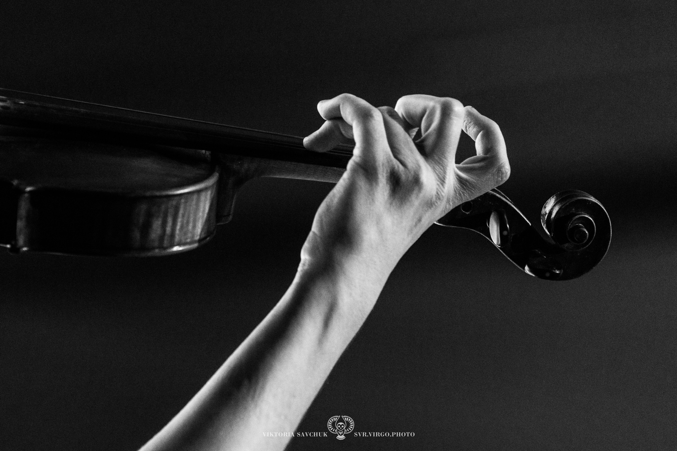 MODACOLOS 2024. Фотограф в Ростов-на-Дону Виктория Савчук