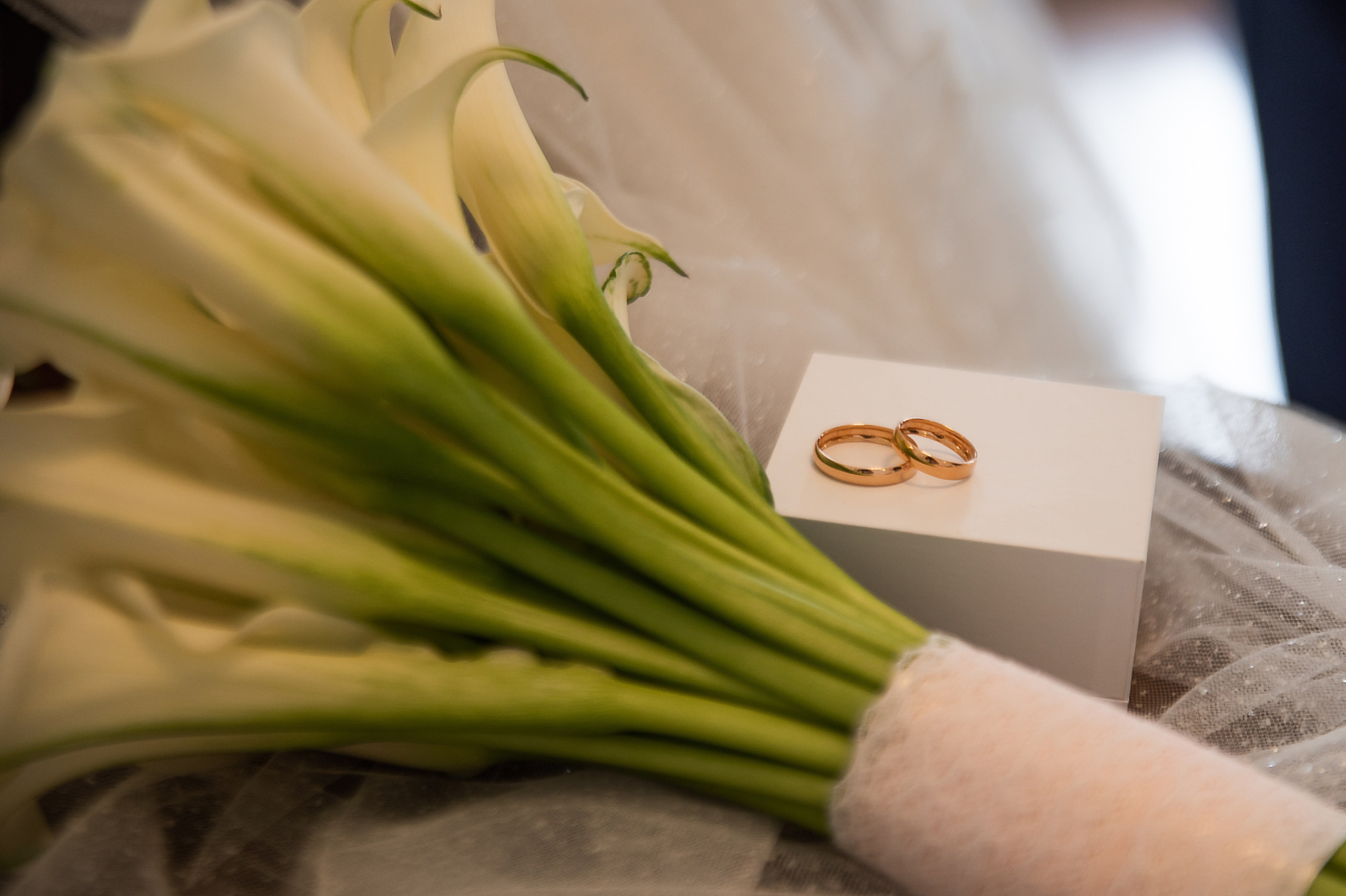 Игорь и Анастасия. Свадебный и семейный фотограф в Ставрополе Евгения Кузьмичева