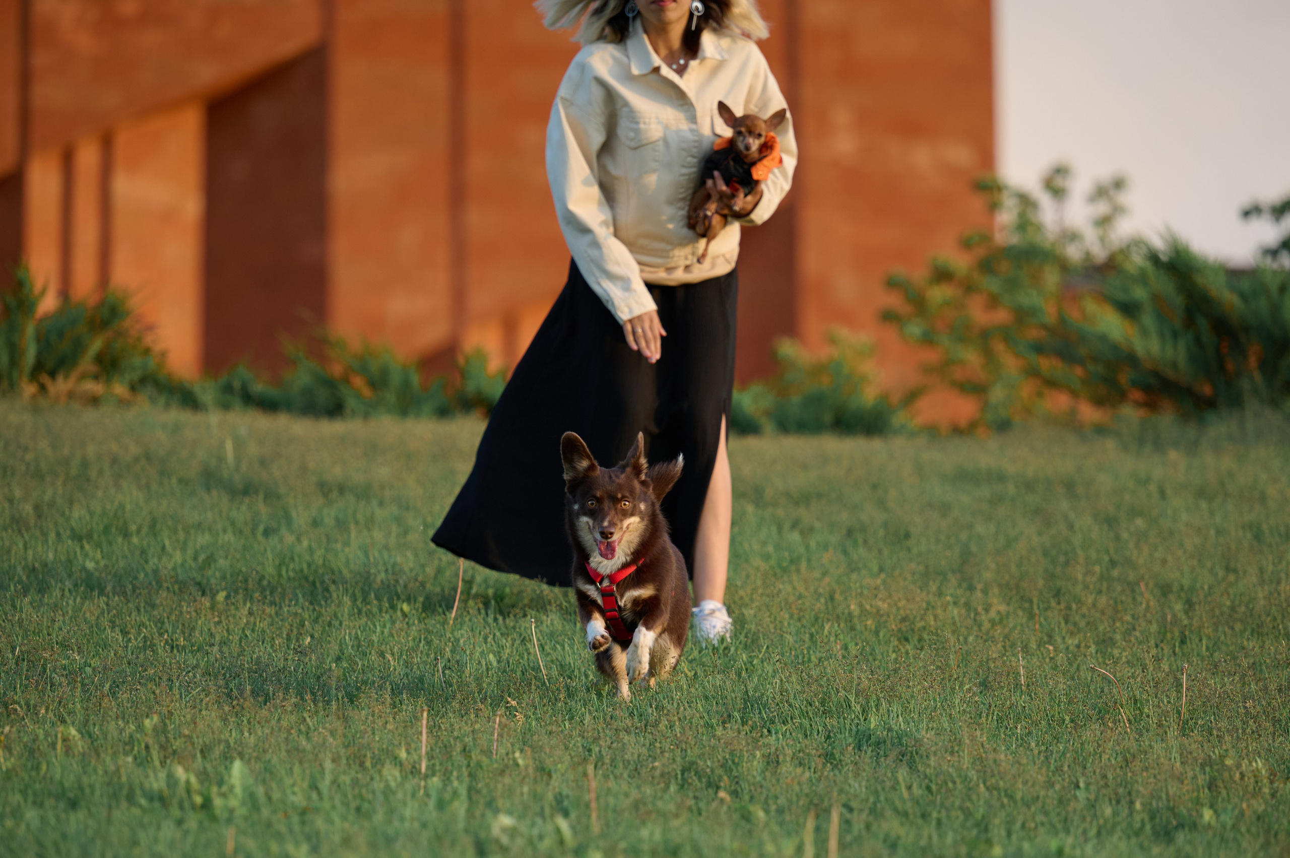 Ренита и Егор с Фокси и Пени. Фотограф анималист в Казани Алина Сулейманова. Фотограф животных