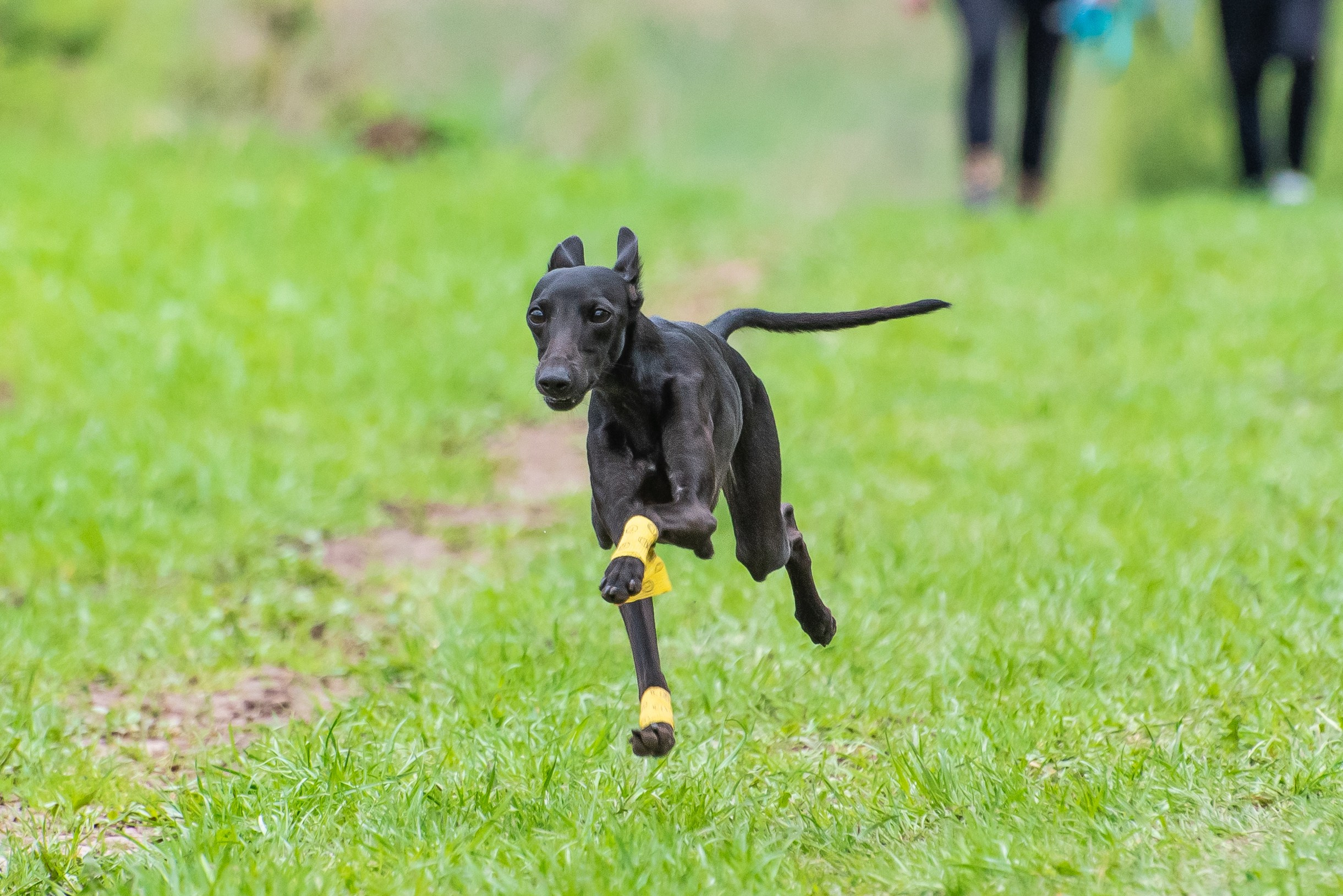Фотографии с Курсинга. Фотограф Макс Огурцов в Нижнем Новгороде