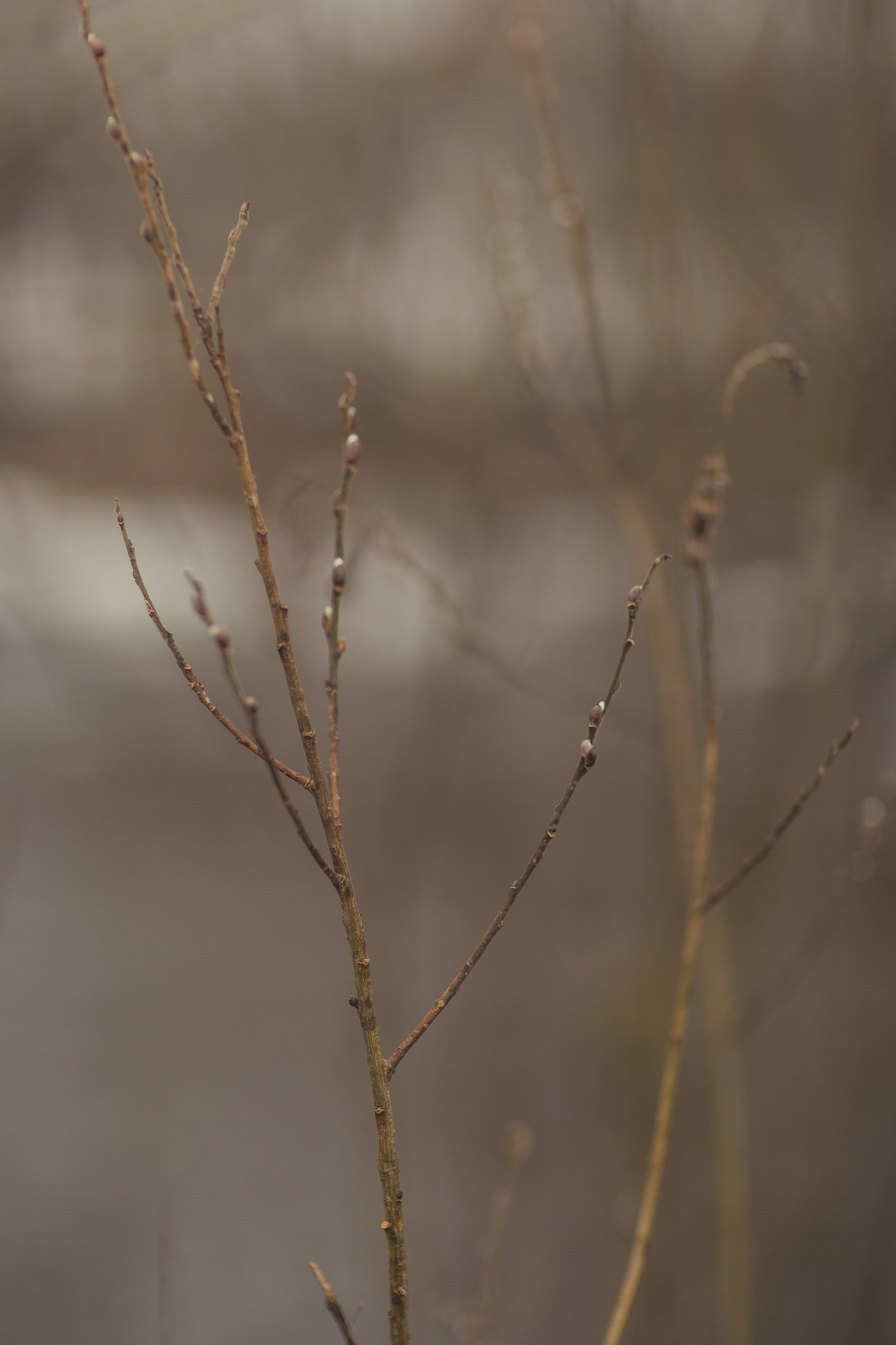 По мотивам «Дед Мазай и зайцы». Детский и семейный фотограф в Пензе Лена бешенова