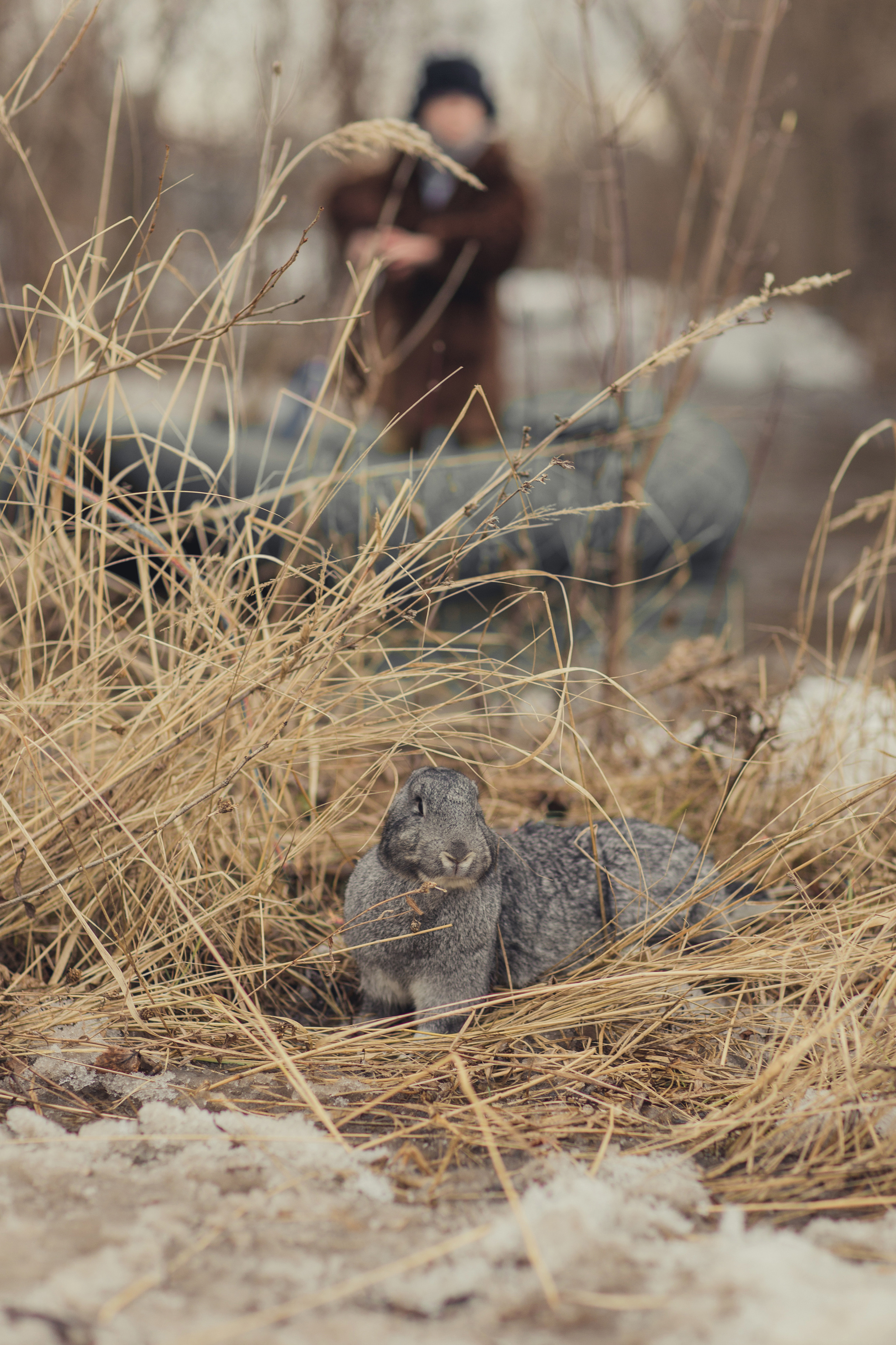 По мотивам «Дед Мазай и зайцы». Детский и семейный фотограф в Пензе Лена бешенова