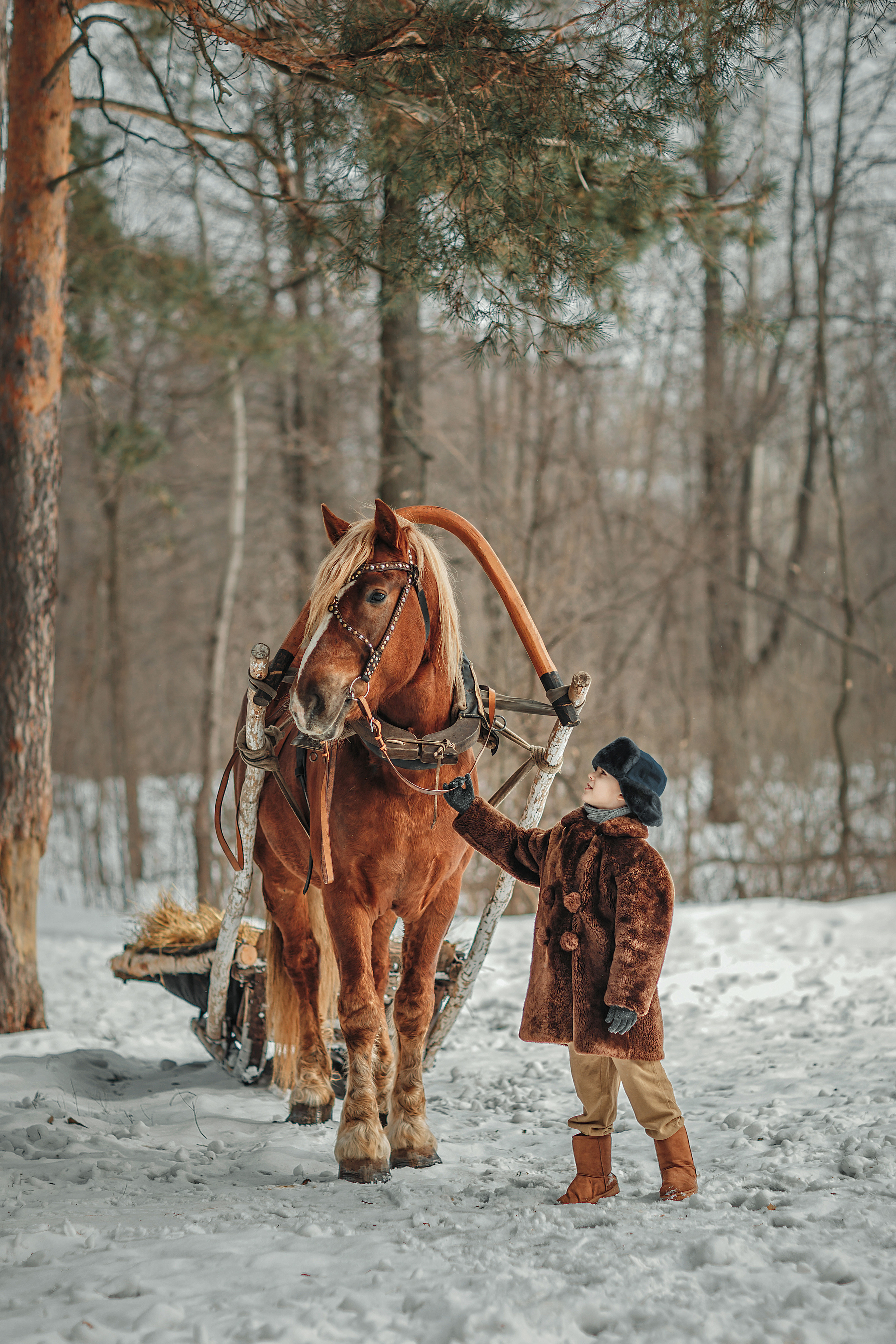 Мужичок с ноготок. Детский и семейный фотограф в Пензе Лена бешенова