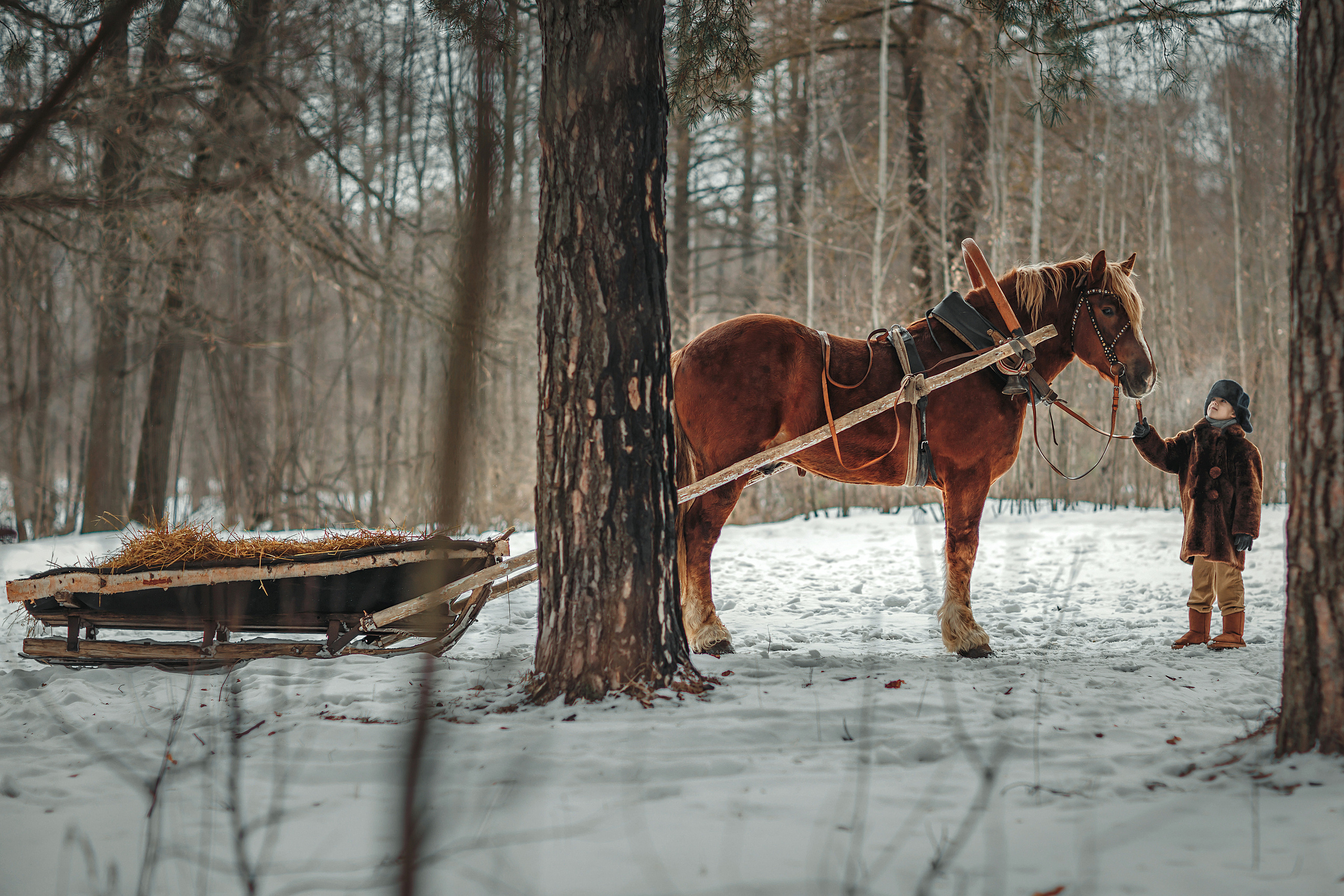 Мужичок с ноготок. Детский и семейный фотограф в Пензе Лена бешенова