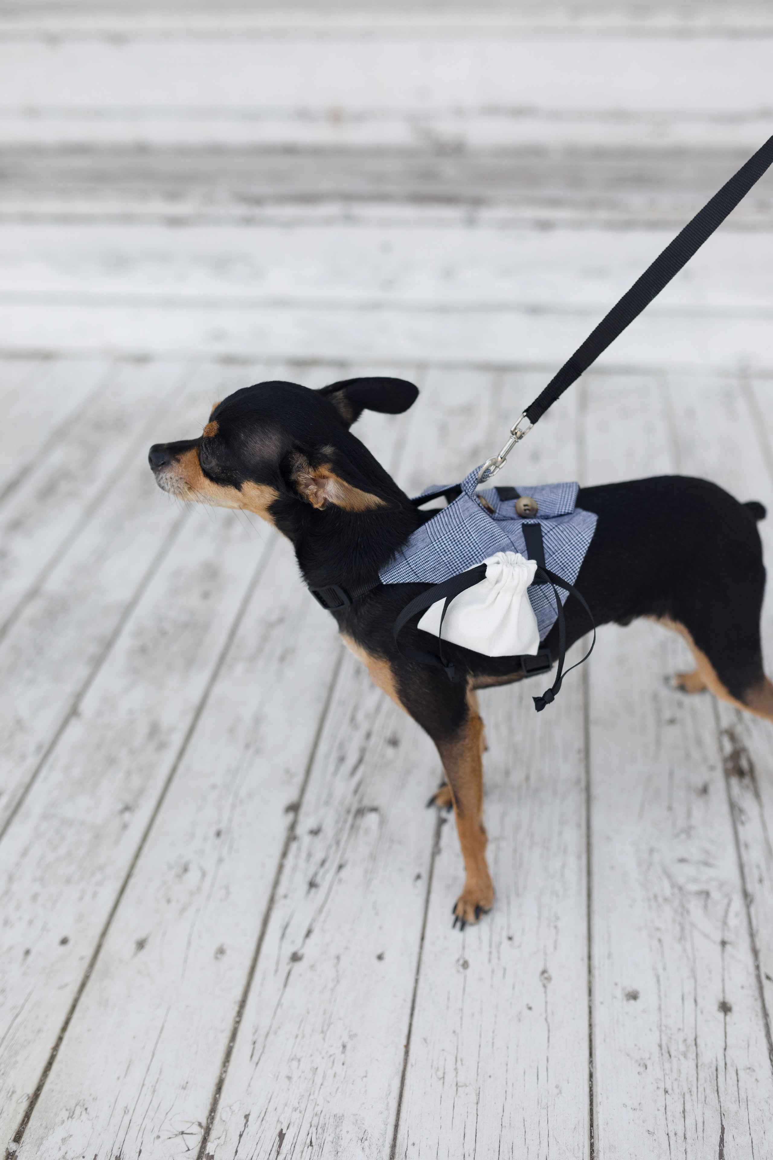 Вадим и Анастасия. Свадебный и семейный фотограф в Иркутске Яна Лиа