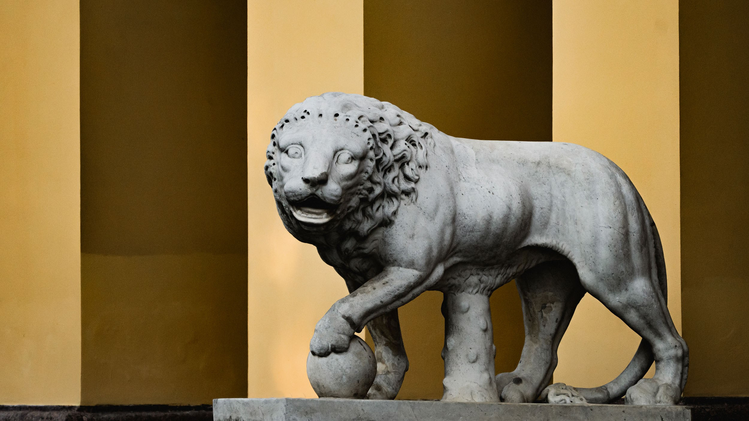 Saint Petersburg. The Andris