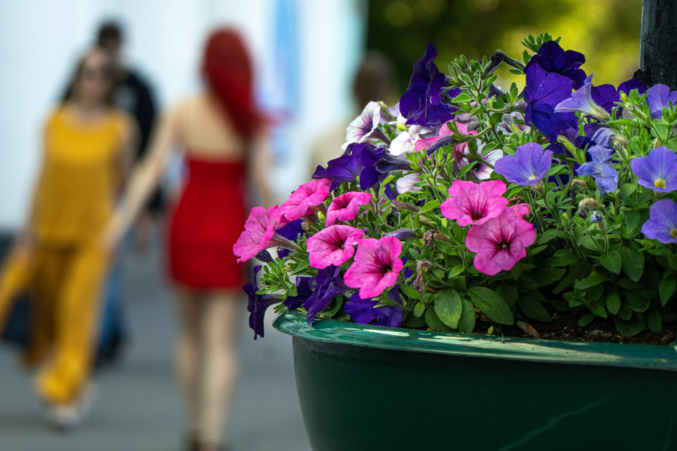 Кольский полуостров. ПОБУДЬ ЗДЕСЬ И ЦЕЛЕЕ БУДЕТ ЭТОТ МИР