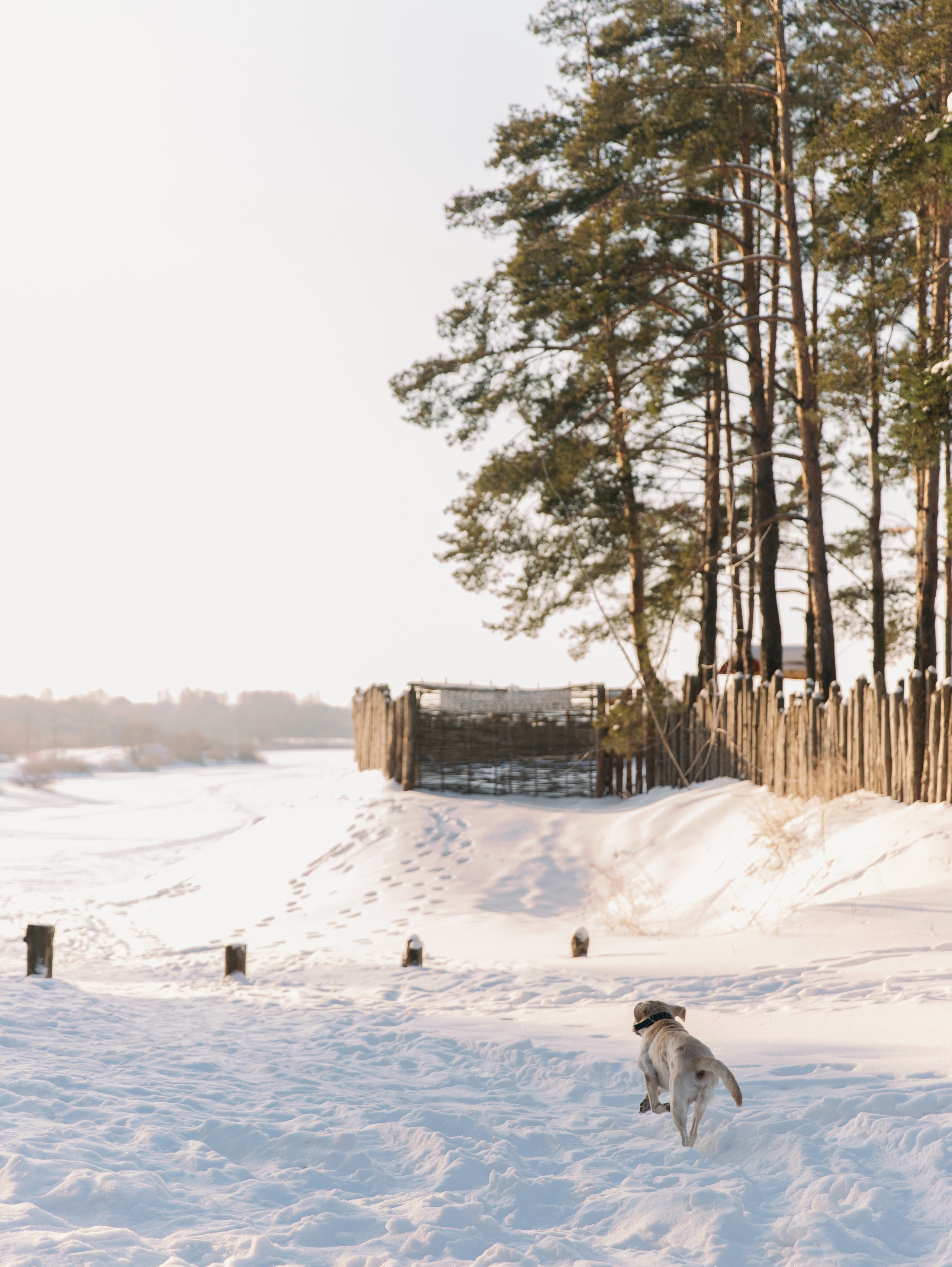 Семья. Свадебный фотограф в Москве и по всему миру