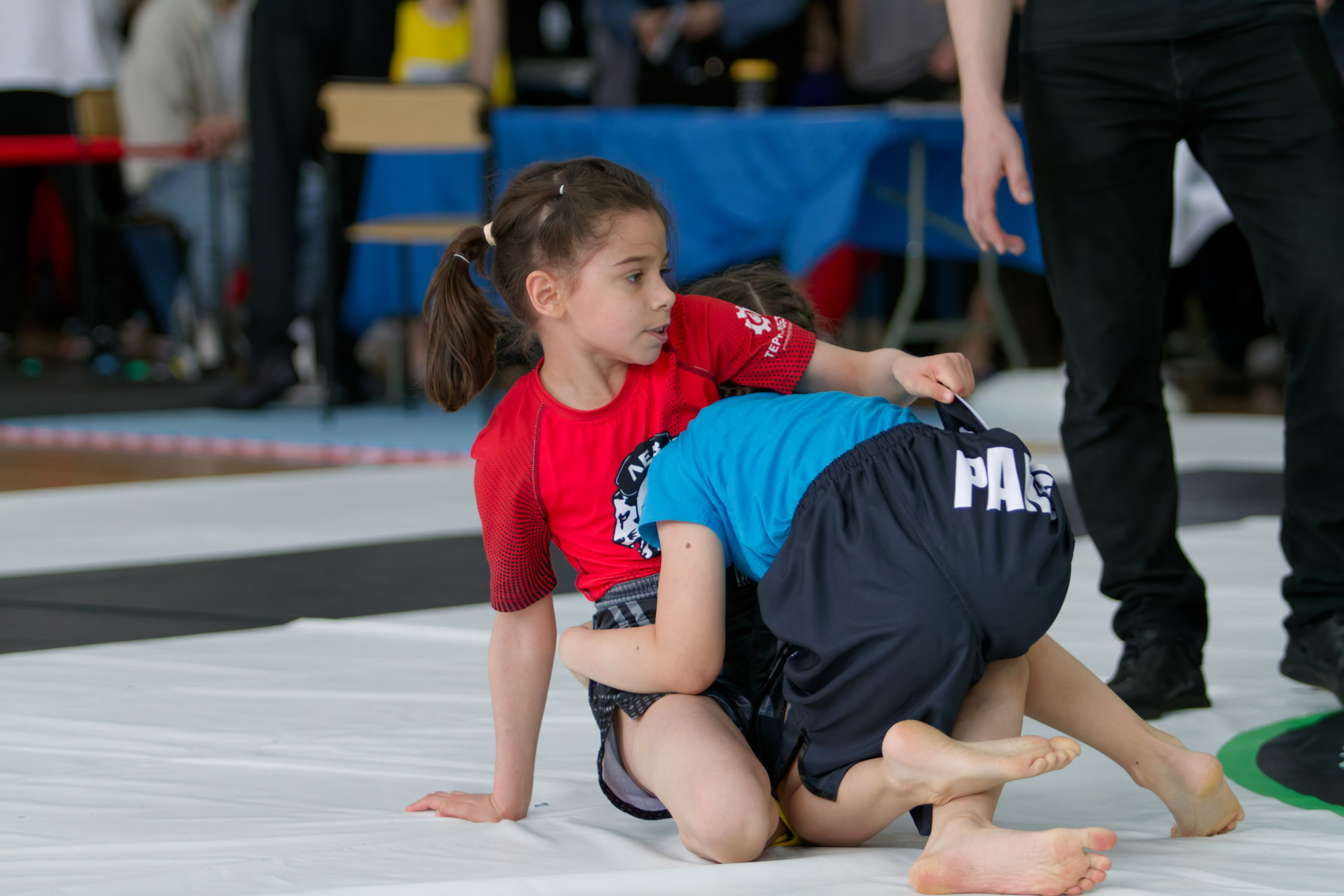Борьба. Джиу-джитсу 26.04.2025. Репортажный и спортивный фотограф в г. Пермь Зильберг Павел