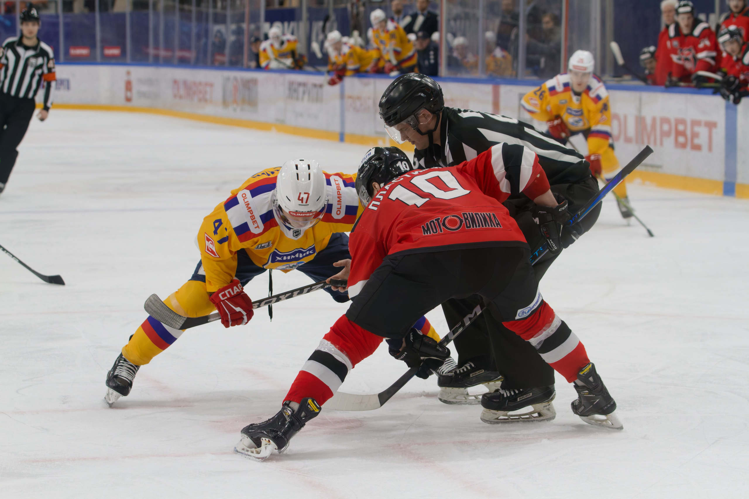 Хоккей. Молот-Химик 12.02.2025. Репортажный и спортивный фотограф в г. Пермь Зильберг Павел