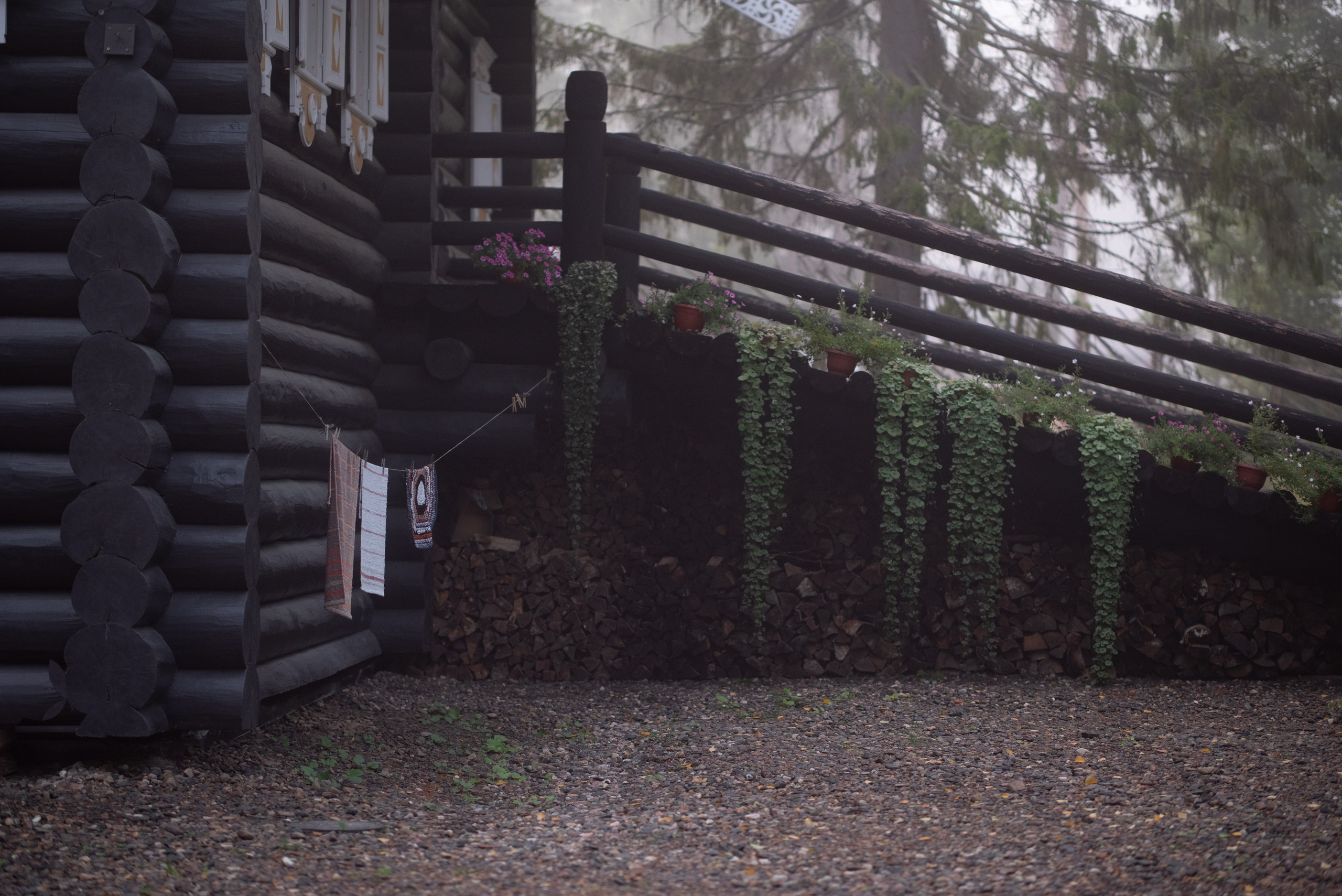 Осень на 85DFA*. Портретный фотограф Денис Милютин