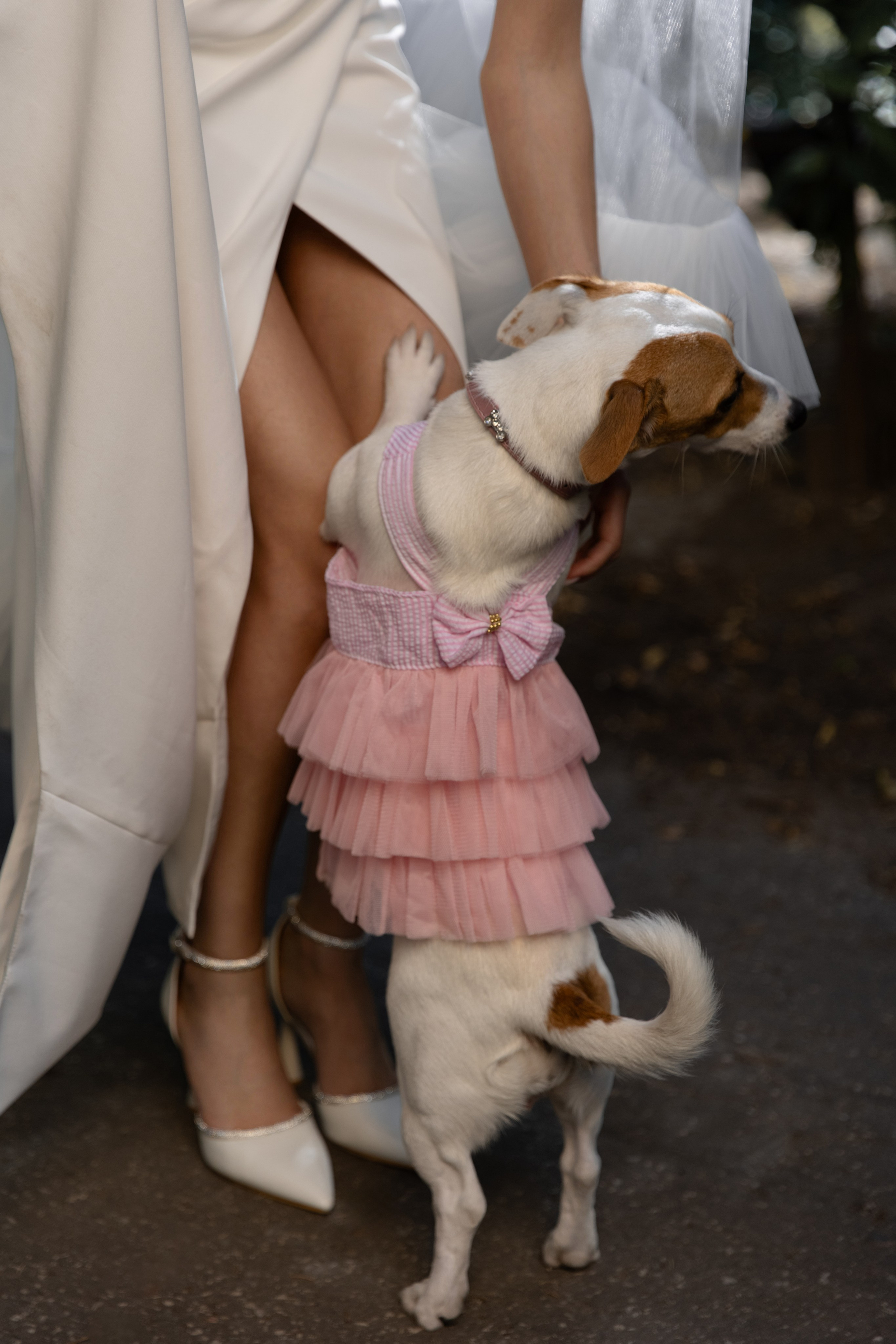 Даша и Тахир. Фотограф Нижний Новгород