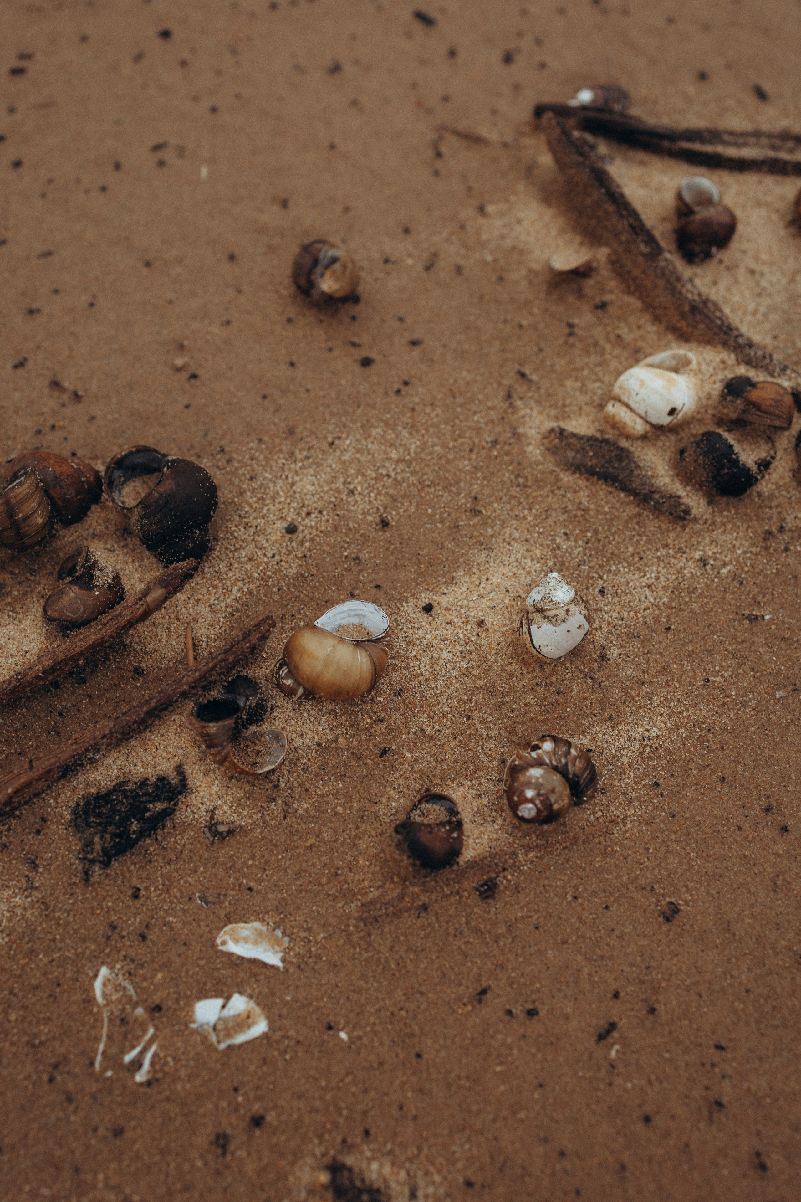 Настя. Фотограф Москва Алёна Суворова