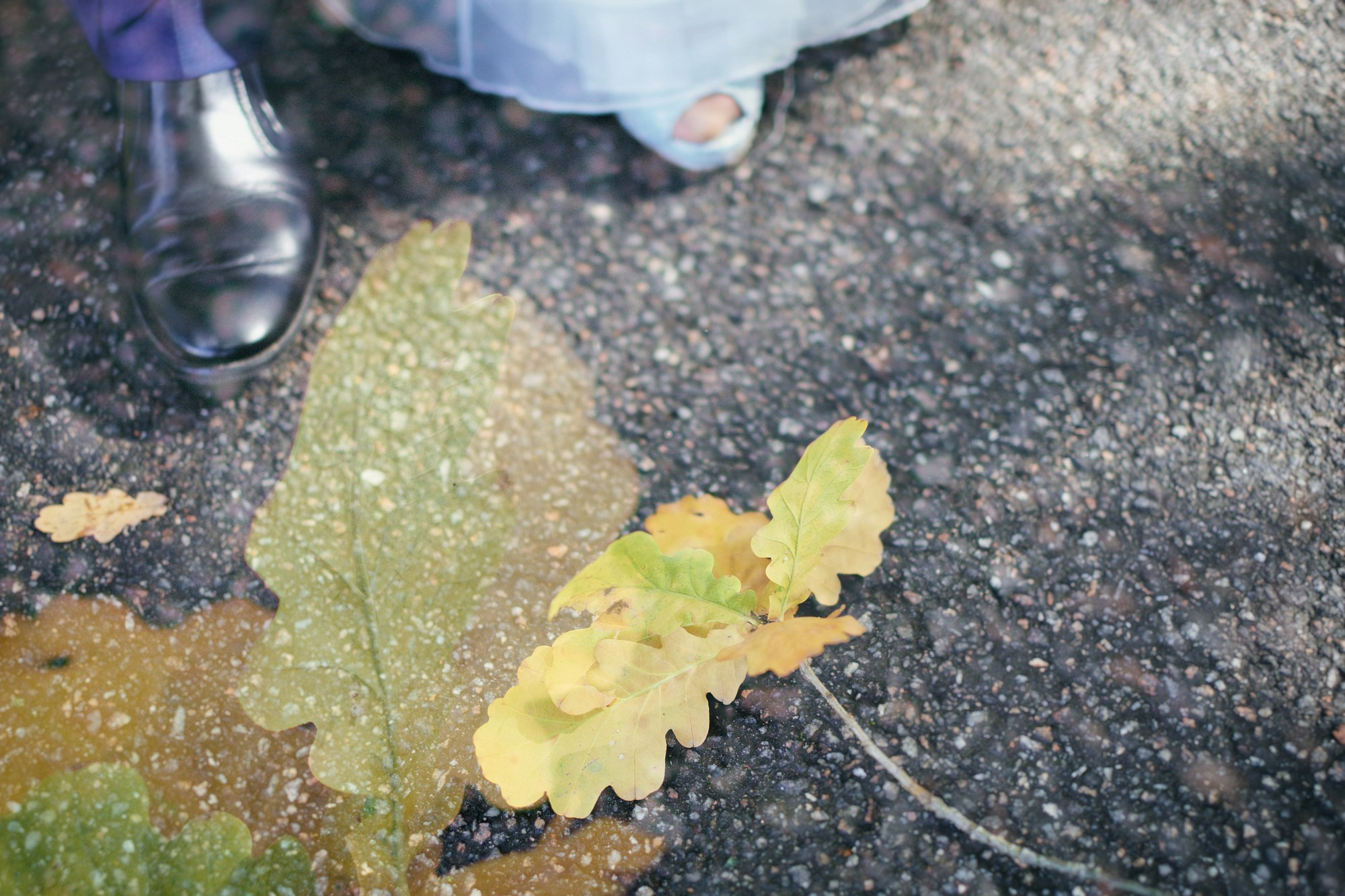 СЕМЕЙНАЯ и СВАДЬБА. Фотограф и оператор-постановщик в Санкт-Петербурге Беликов Валентин