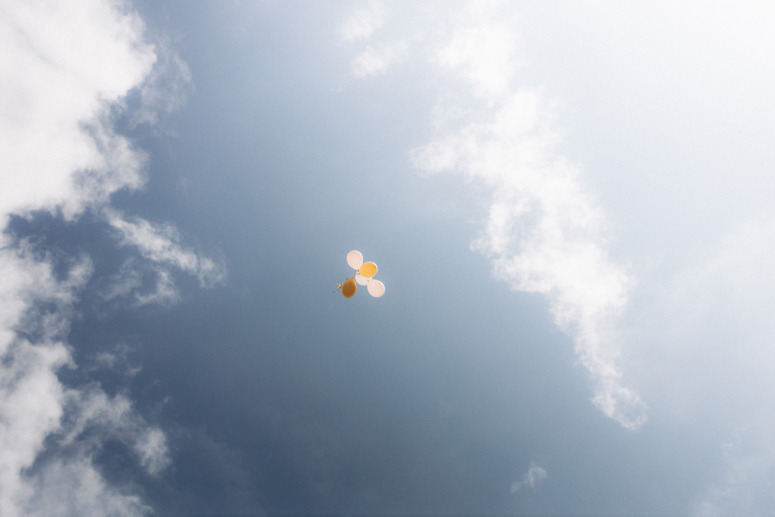 Юлия & Андрей. Фотограф НОГИНСК, Москва, Анастасия Белая