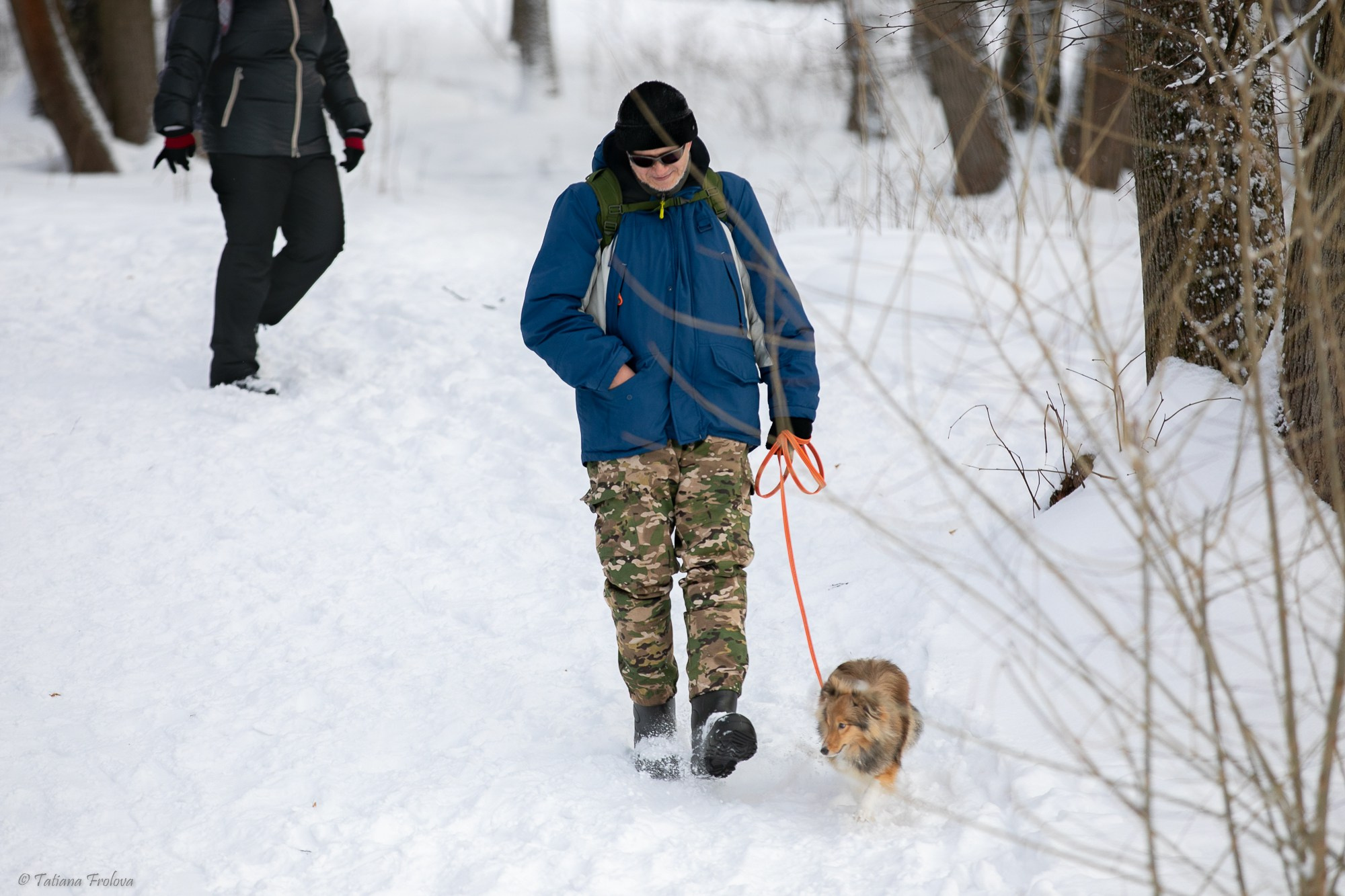 Фотосъемка похода с собаками в Московской области. Фотограф-анималист в Москве и Московской области Татьяна Фролова